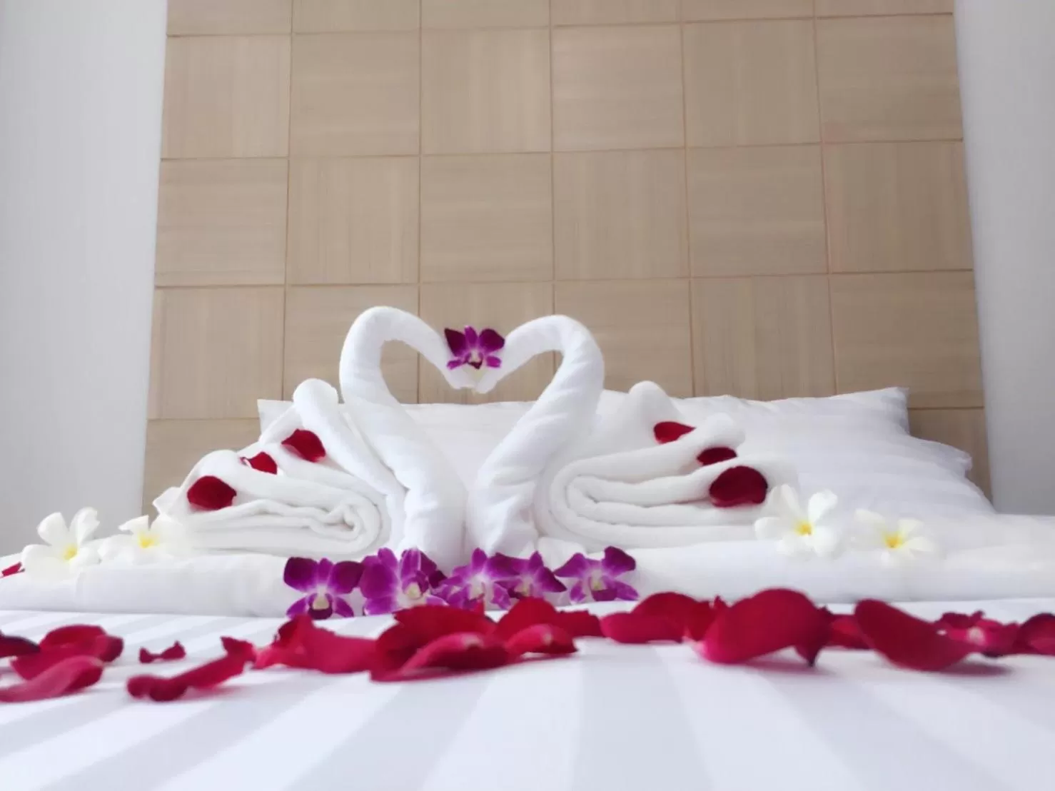 Photo of the whole room, Bed in Nava Grand