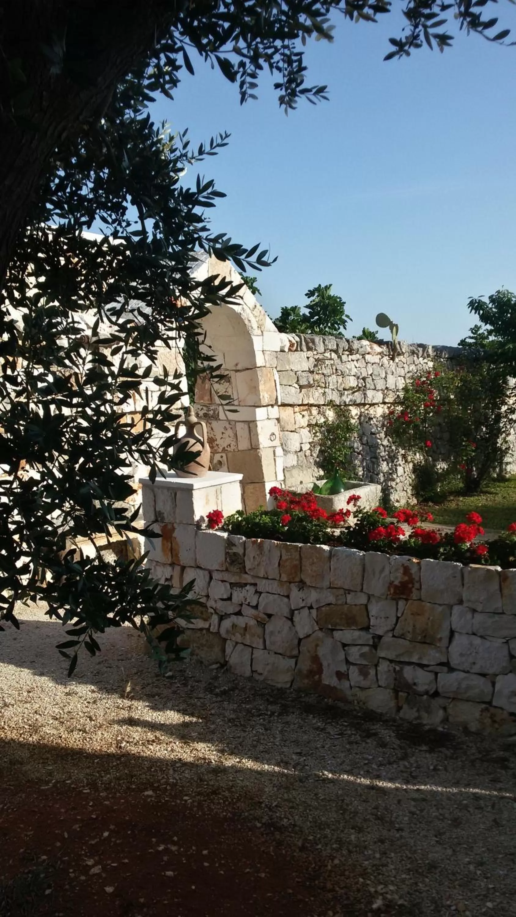 Garden in Masseria Tolla