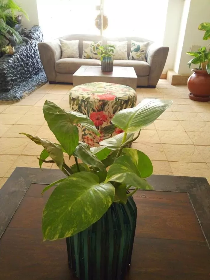 ILLIYIN Boutique Hotel