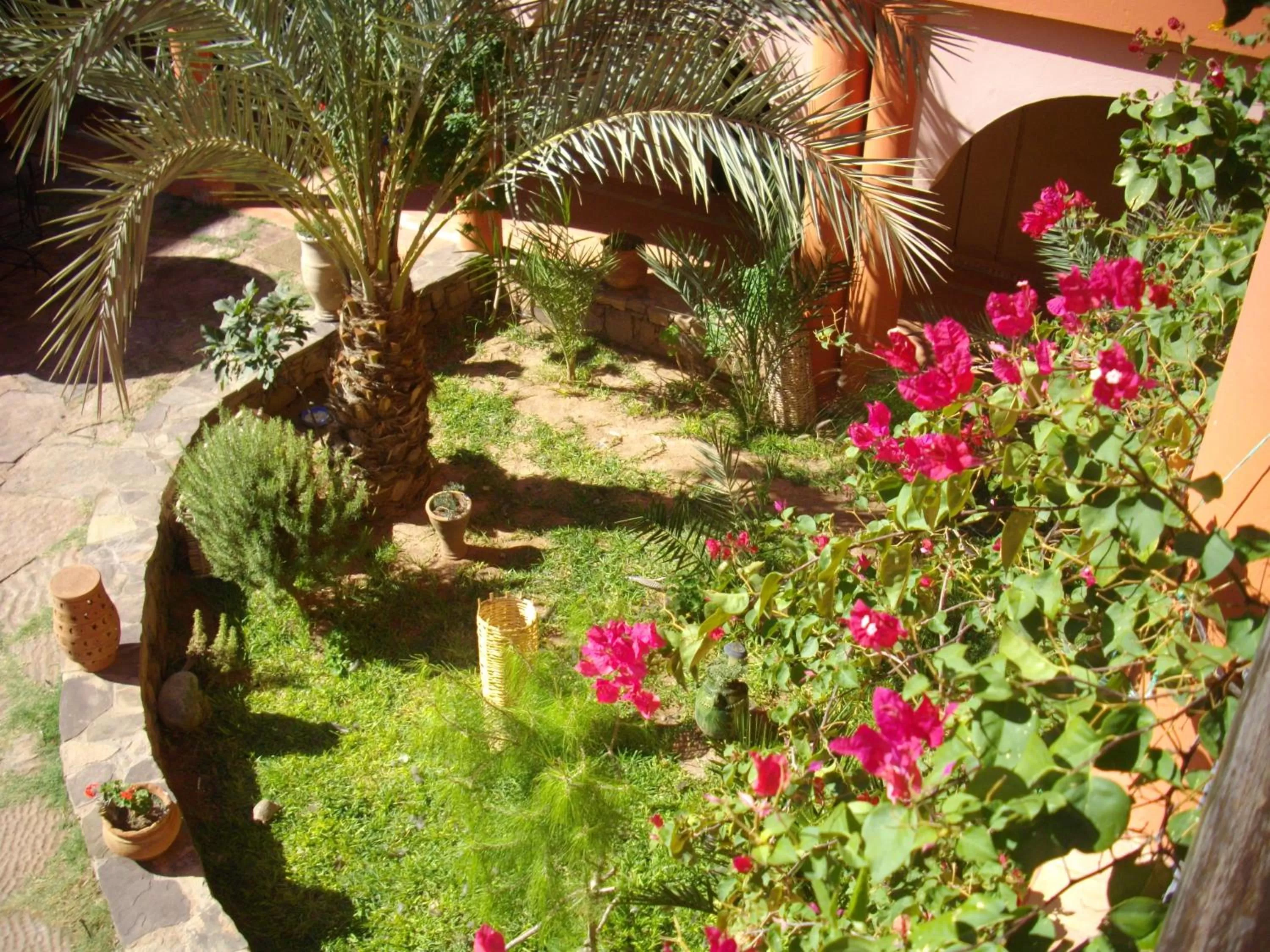 Garden in Kasbah Zitoune