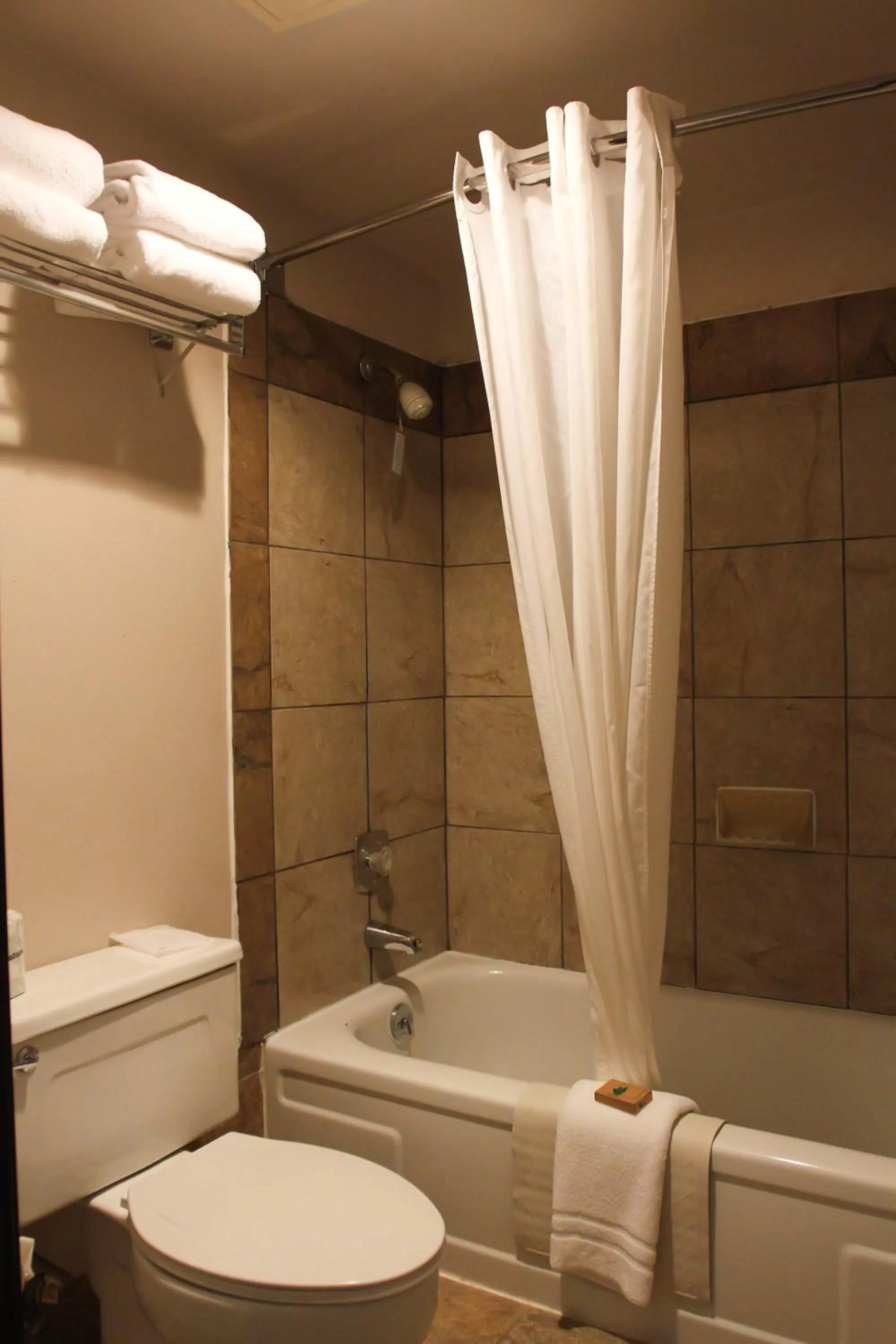 Shower in Clover Island Inn