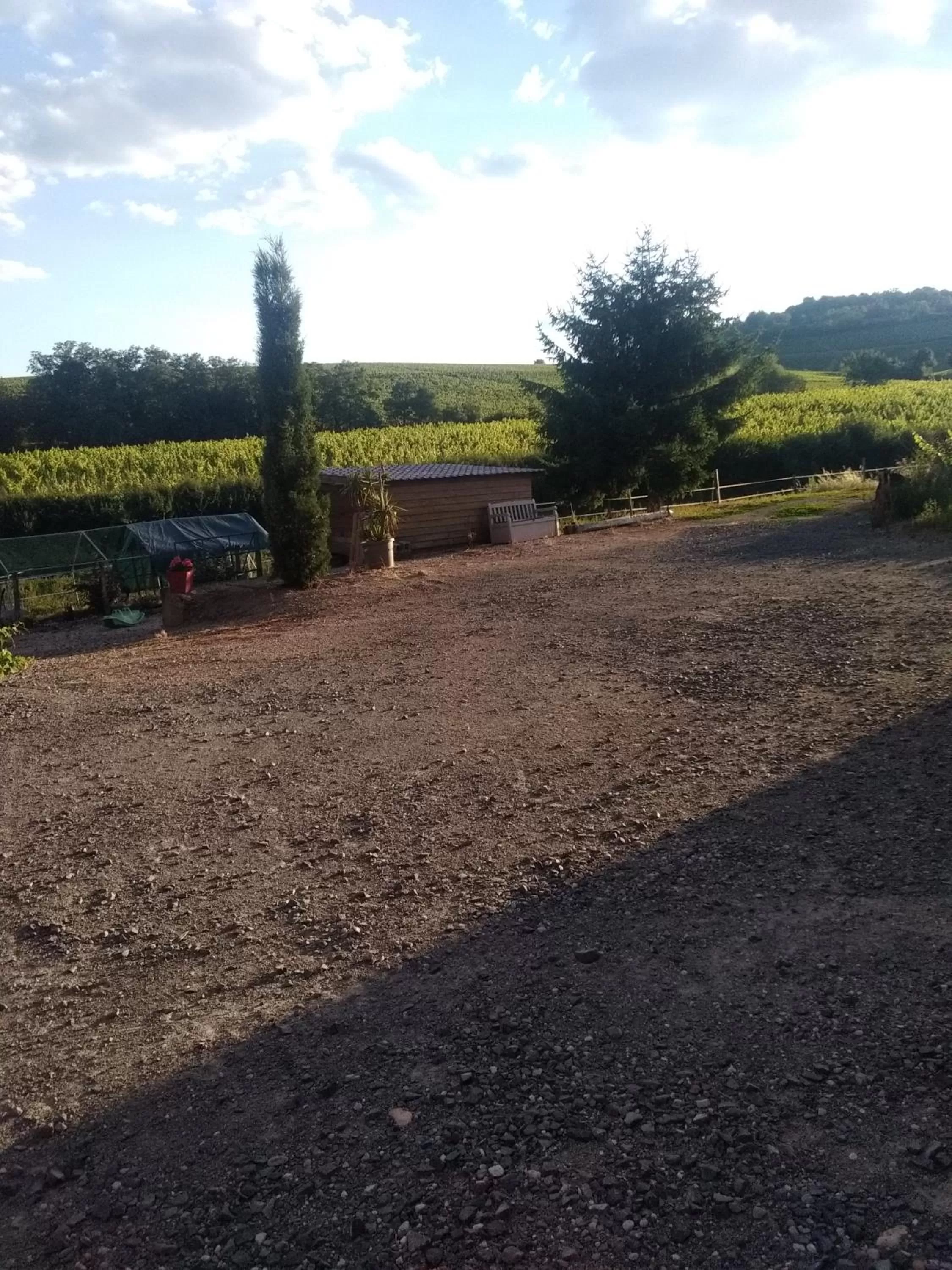 Garden in Virginie et Serge