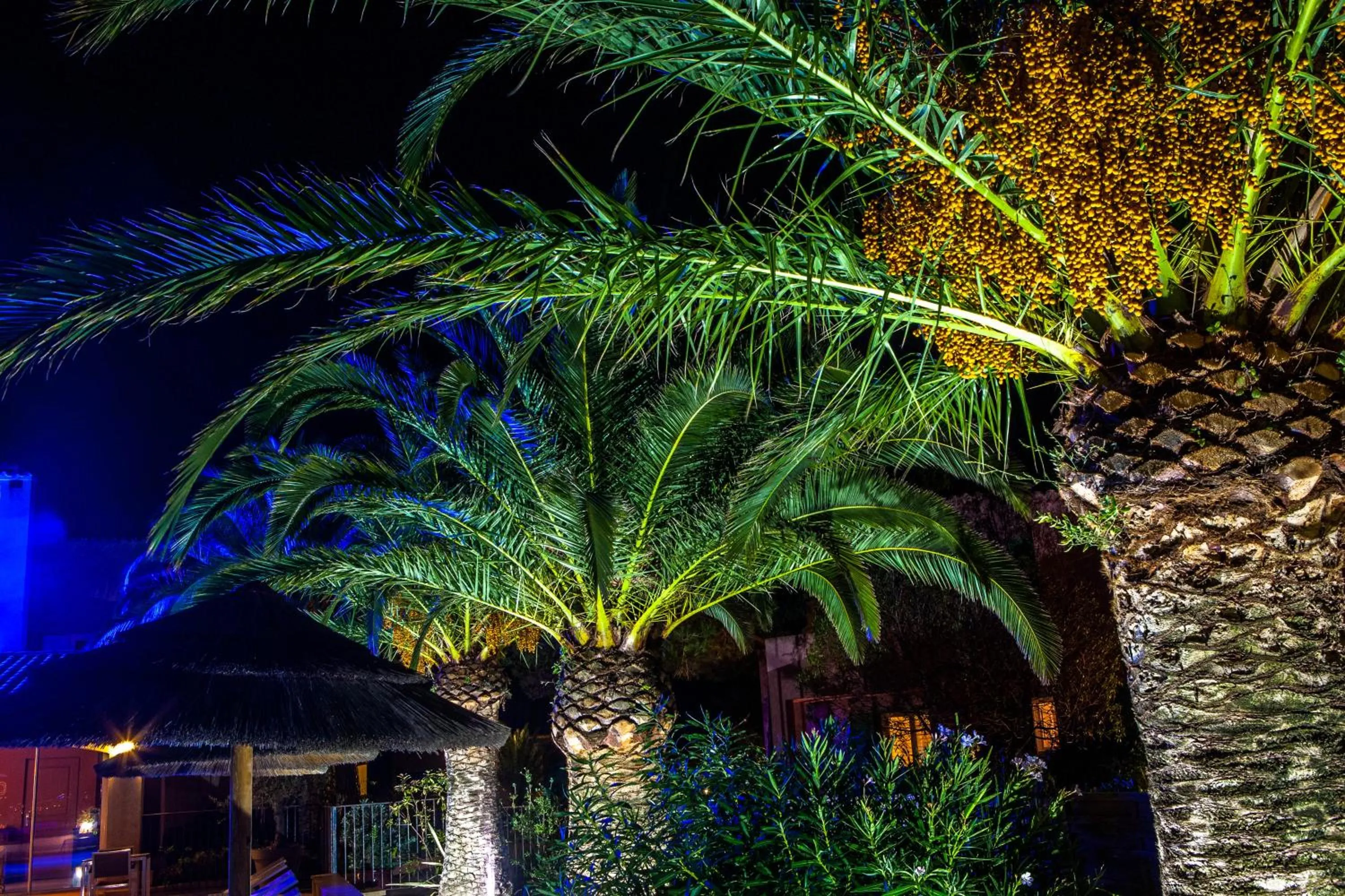 Other in Hotel Cesario