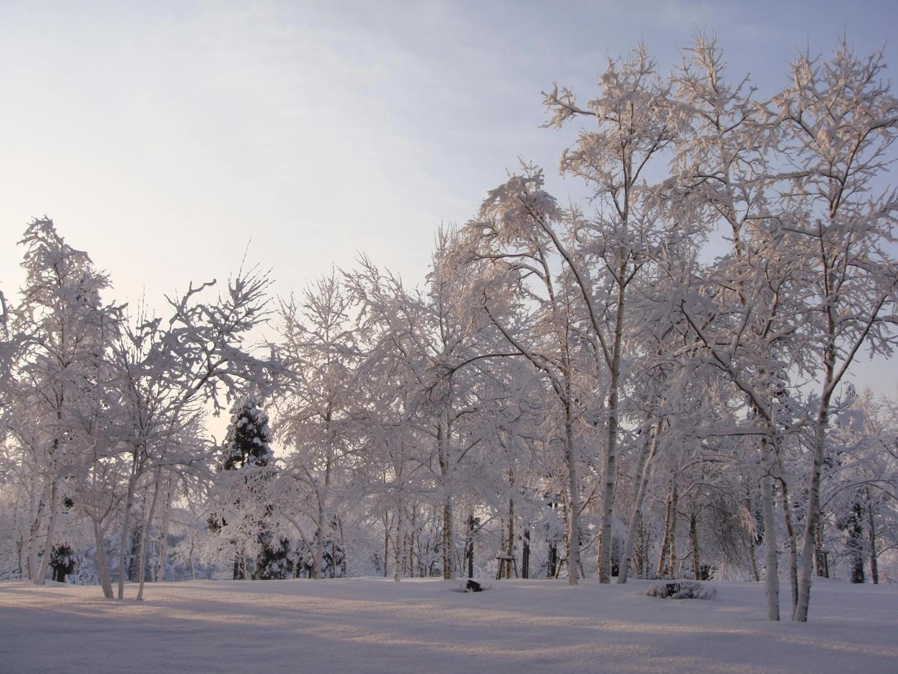 Winter in Sun Members Hirugano