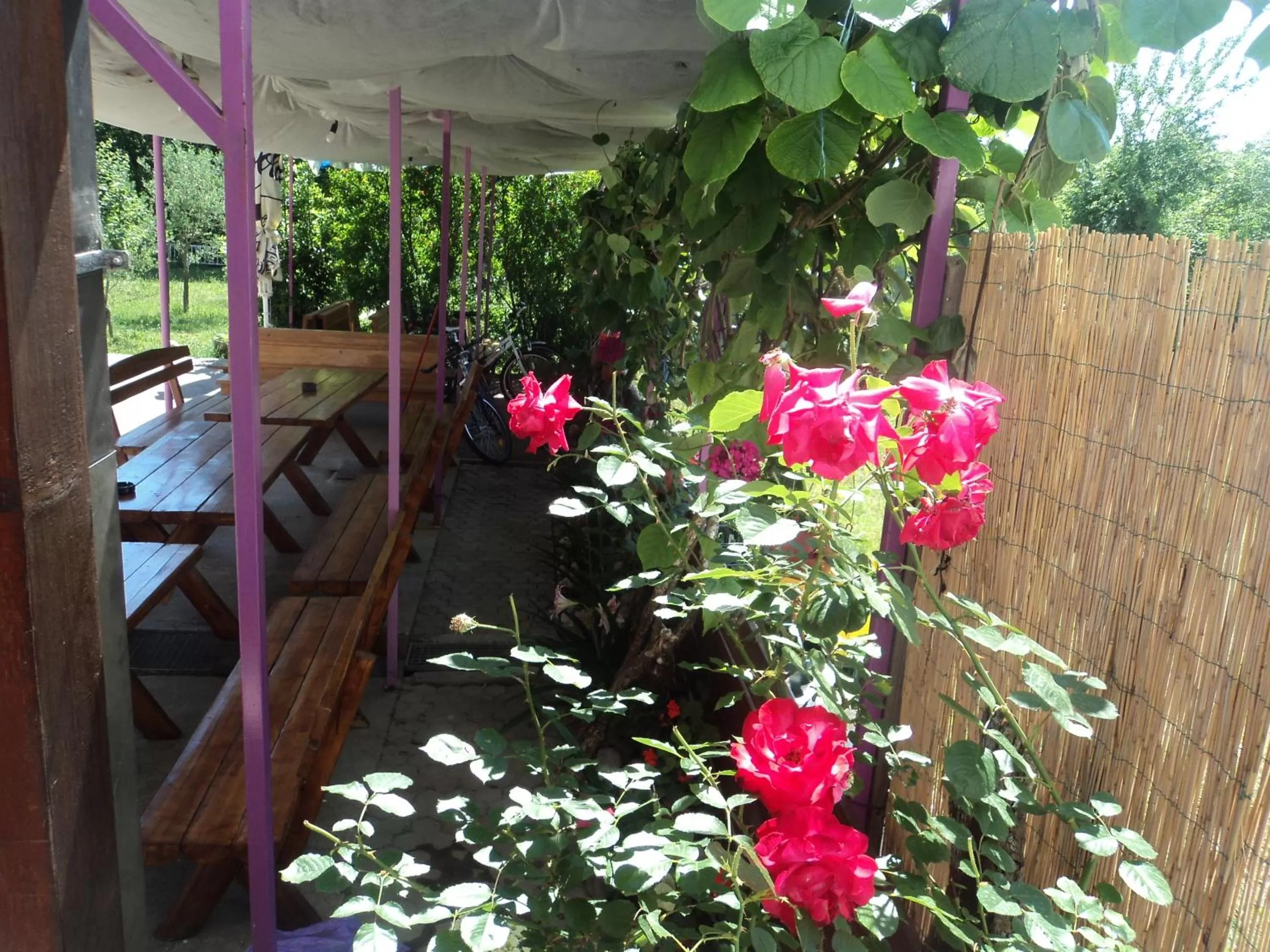 Area and facilities in Pansion Modana Medjugorje