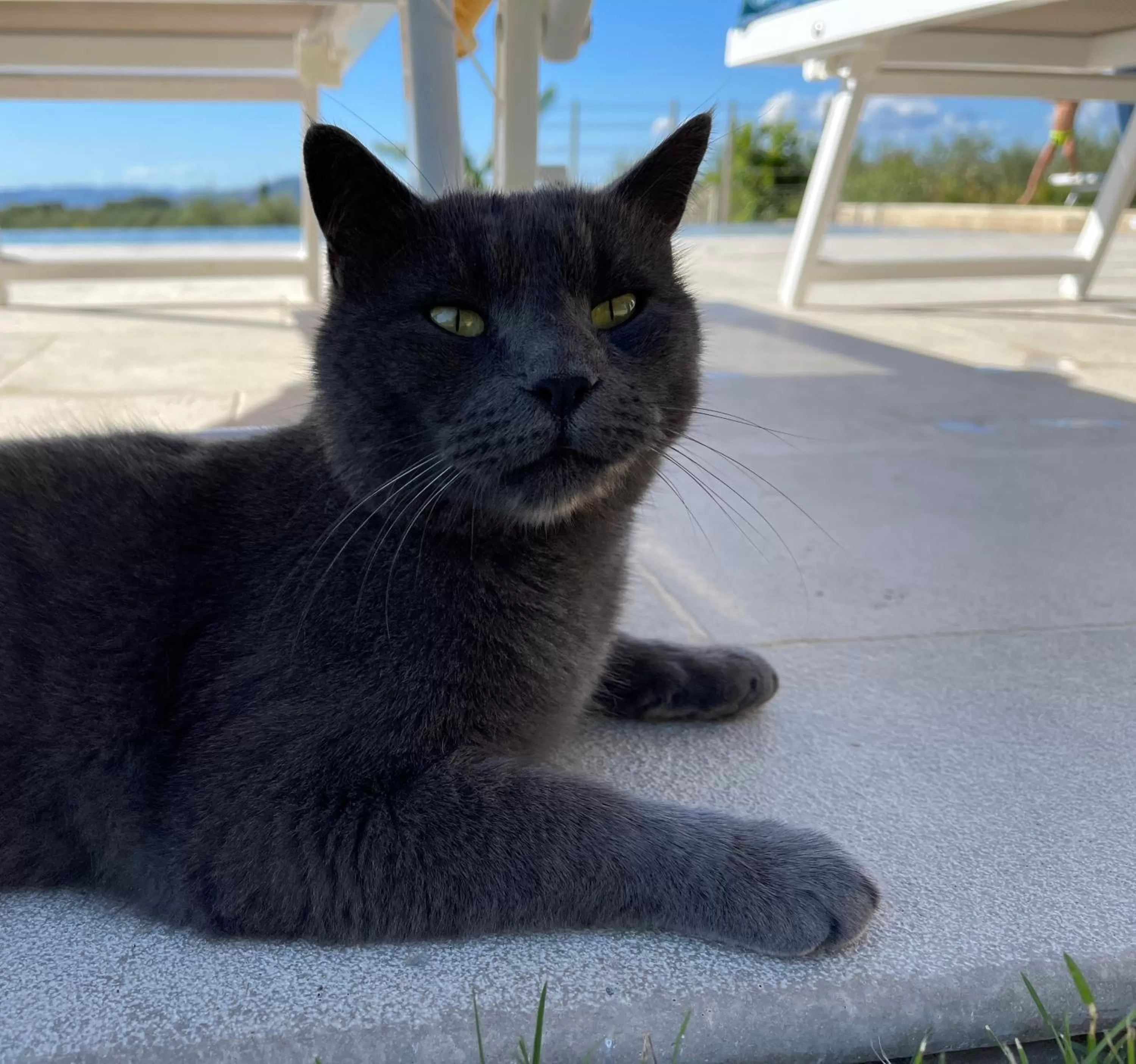 Villa Preselle Country Resort