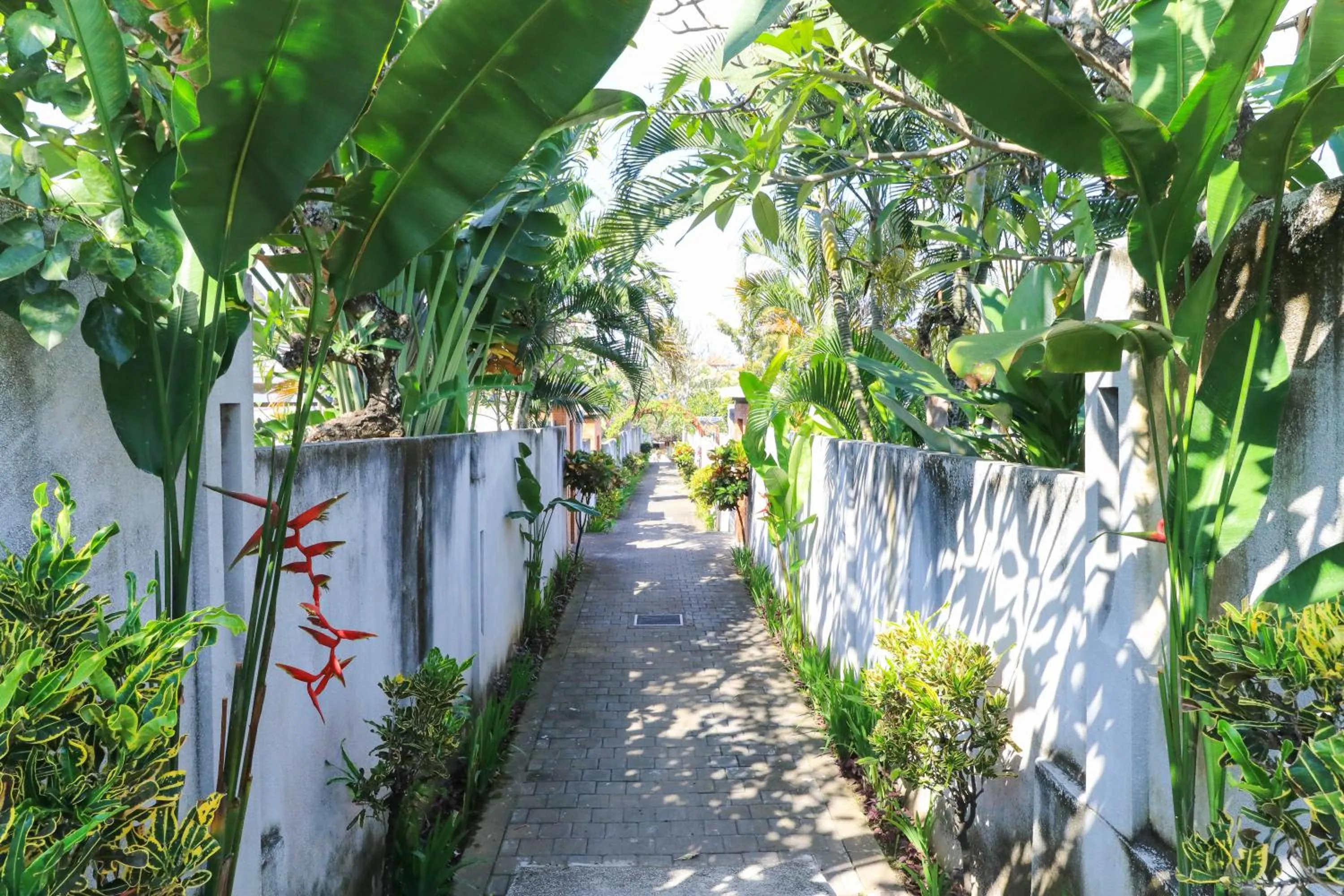 Garden in Bali Merita Villa
