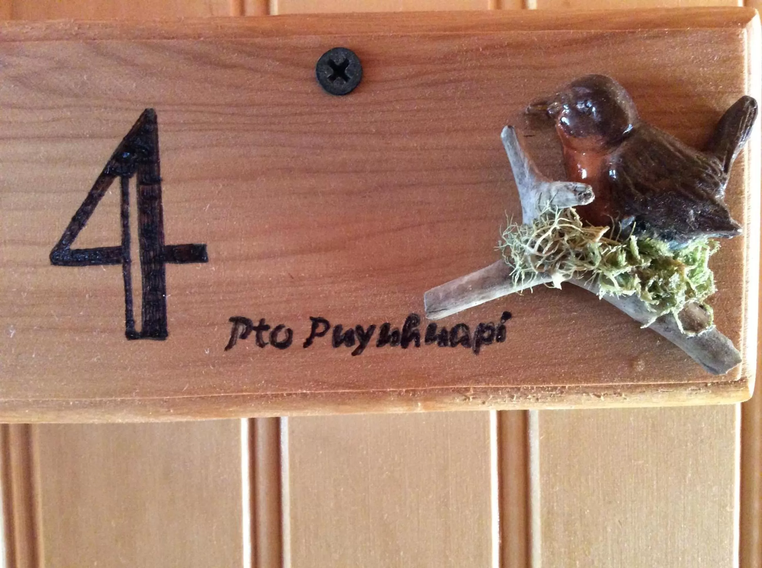 Text overlay in Los Mañíos Del Queulat Puyuhuapi