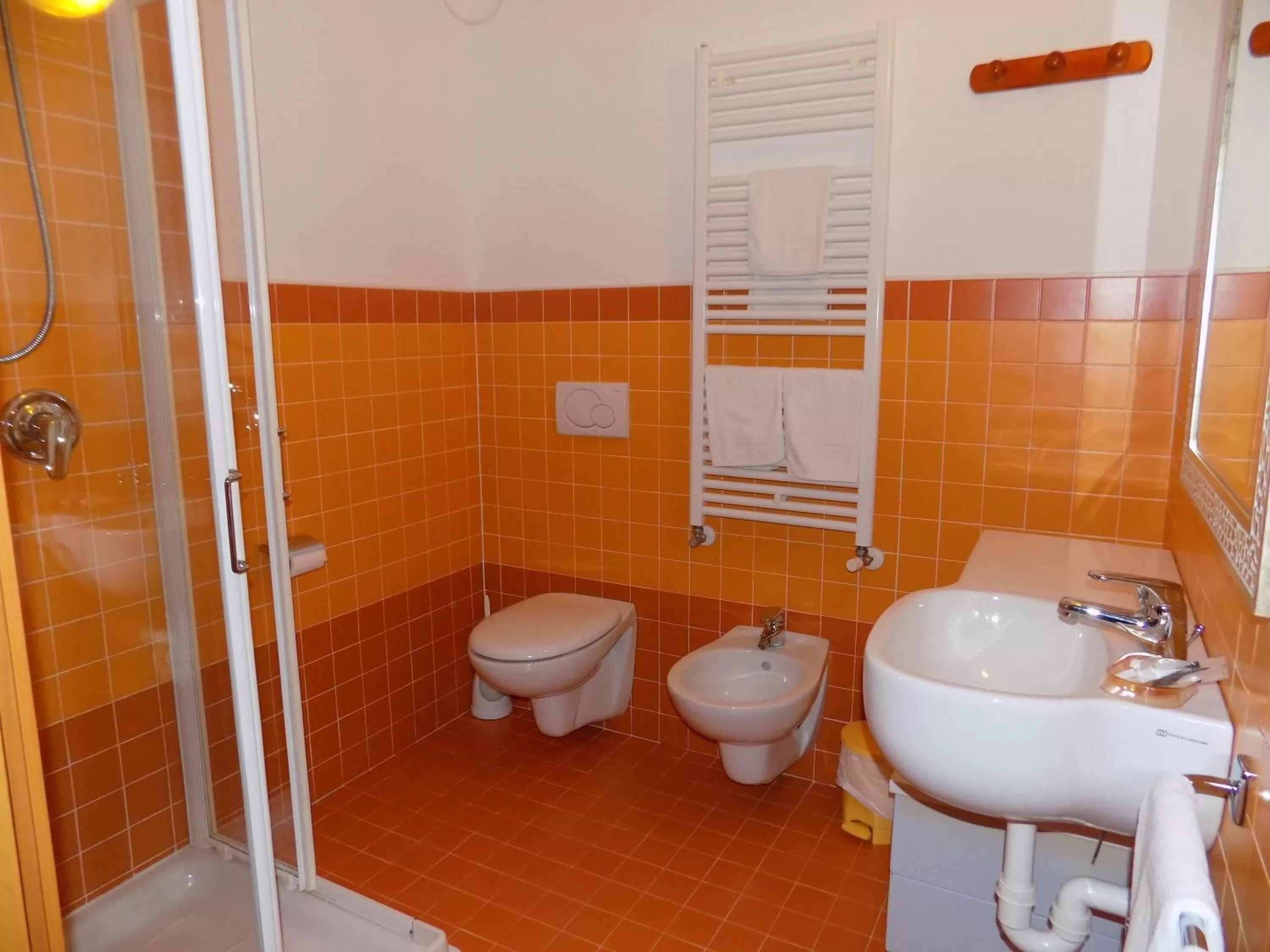 Shower in Hotel Residence Sole