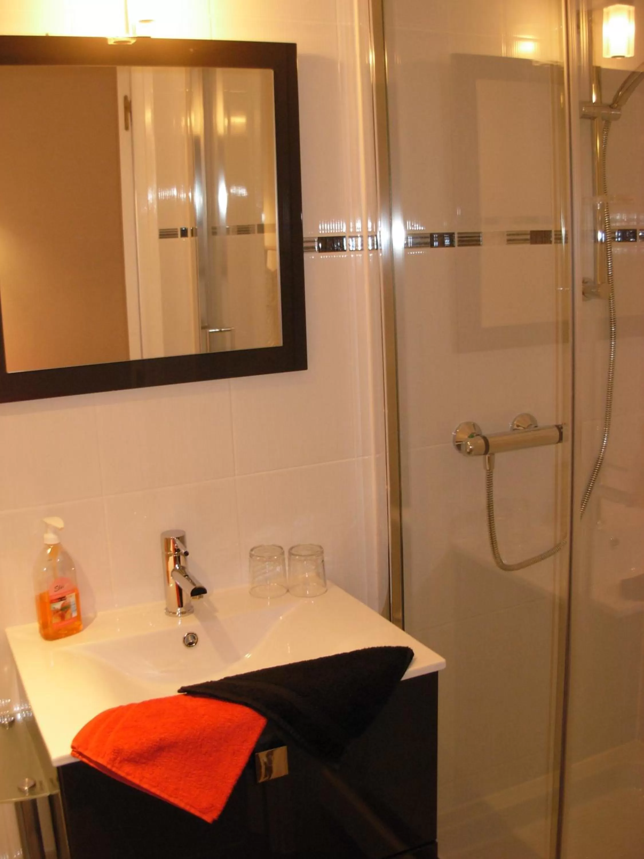 Shower in Chambres D'Hotes "Les Chiens Verts", jardin, terrasse, parking privé