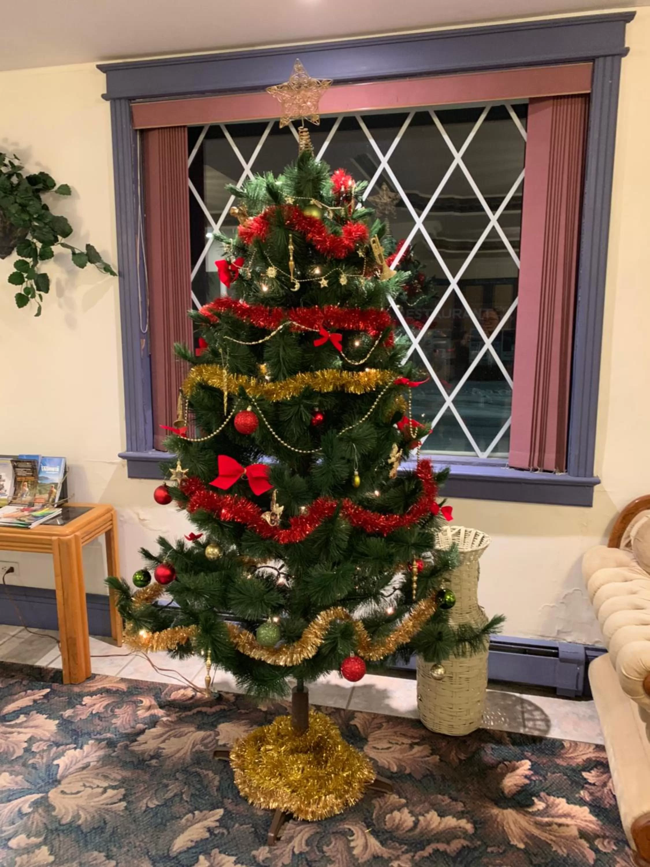 Restaurant/places to eat in Lakeview Hotel