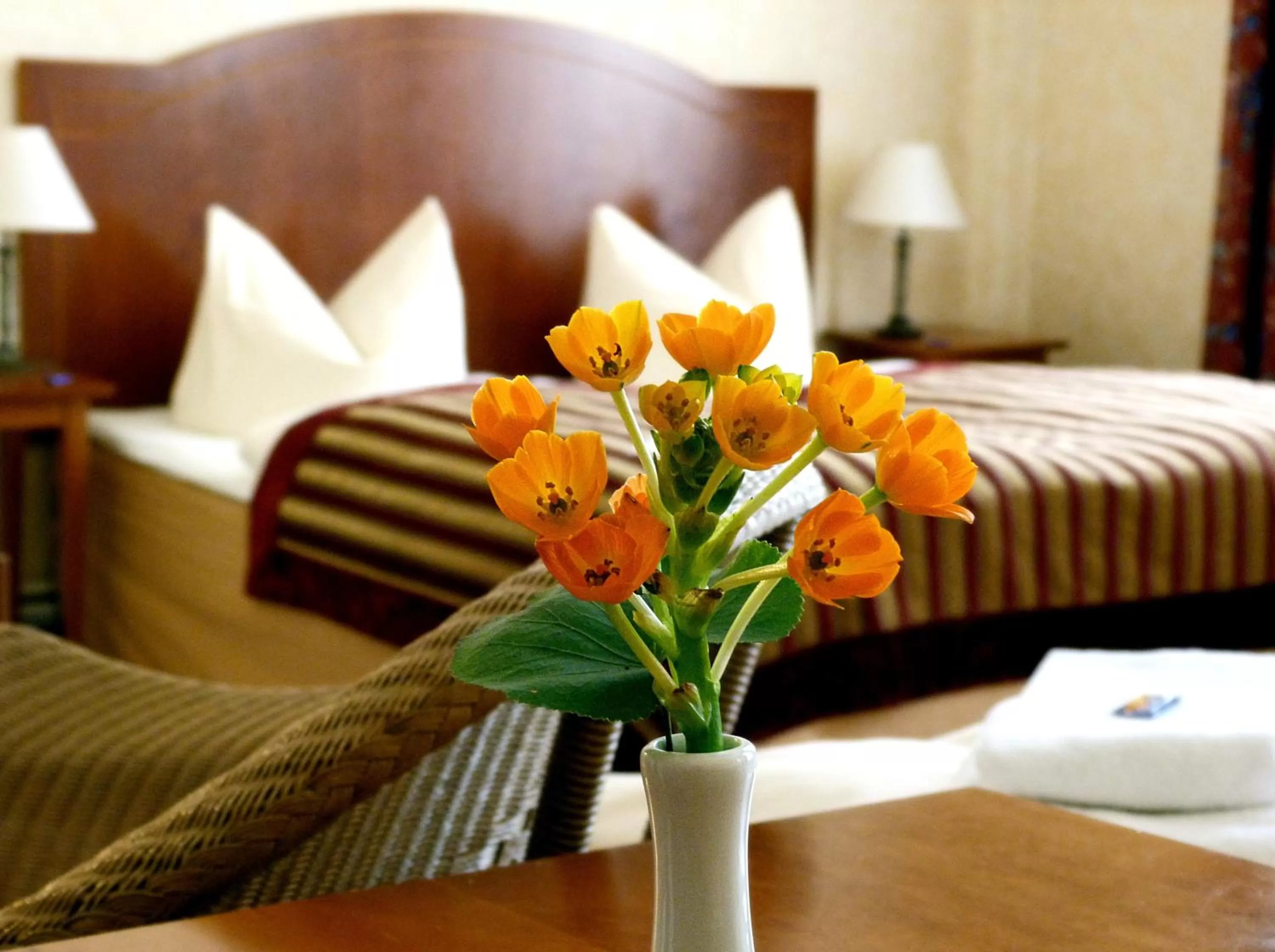 Decorative detail, Bed in Safestay Berlin Kurfurstendamm