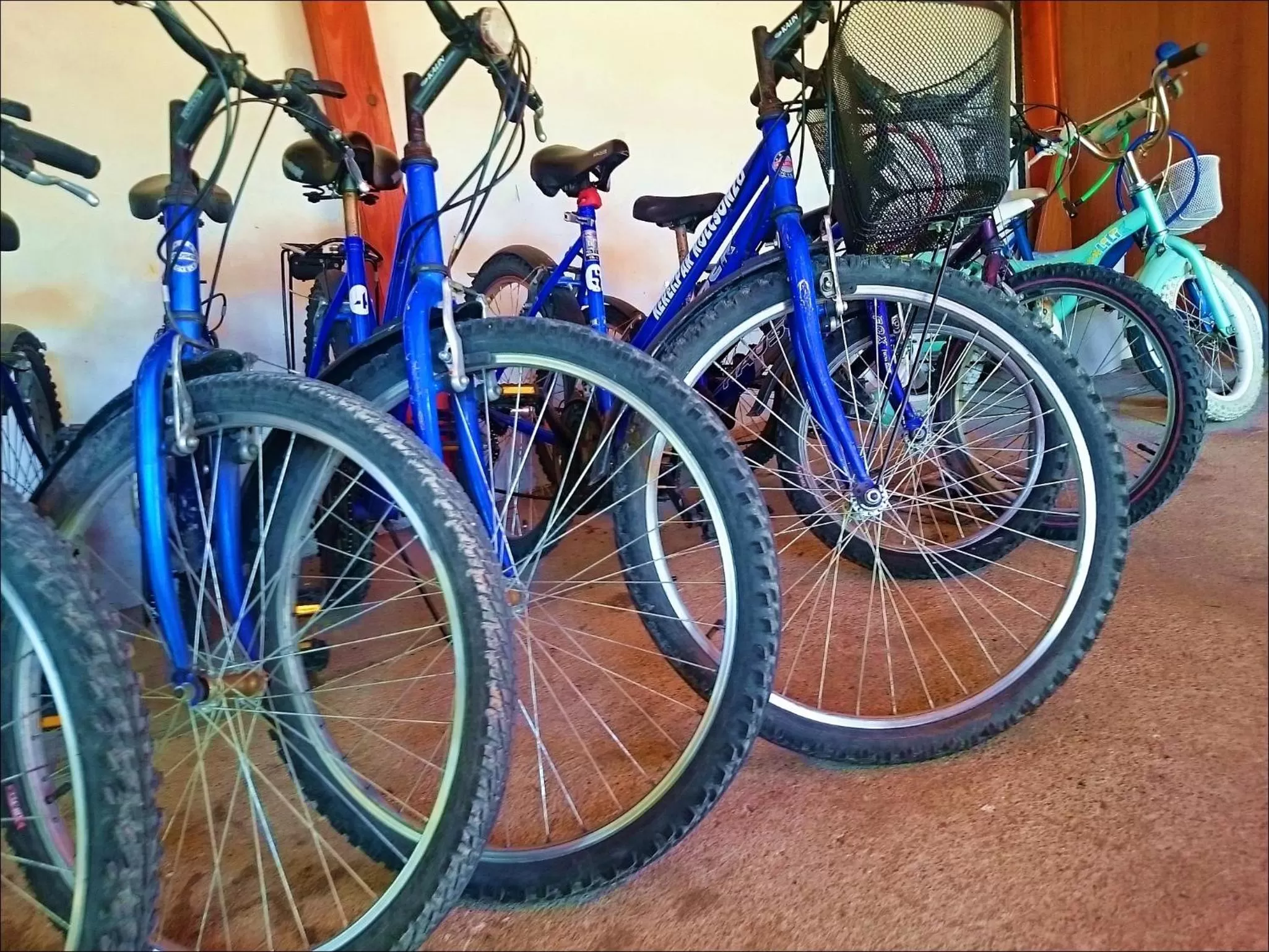 Fishing, Biking in Nefelejcs Hotel