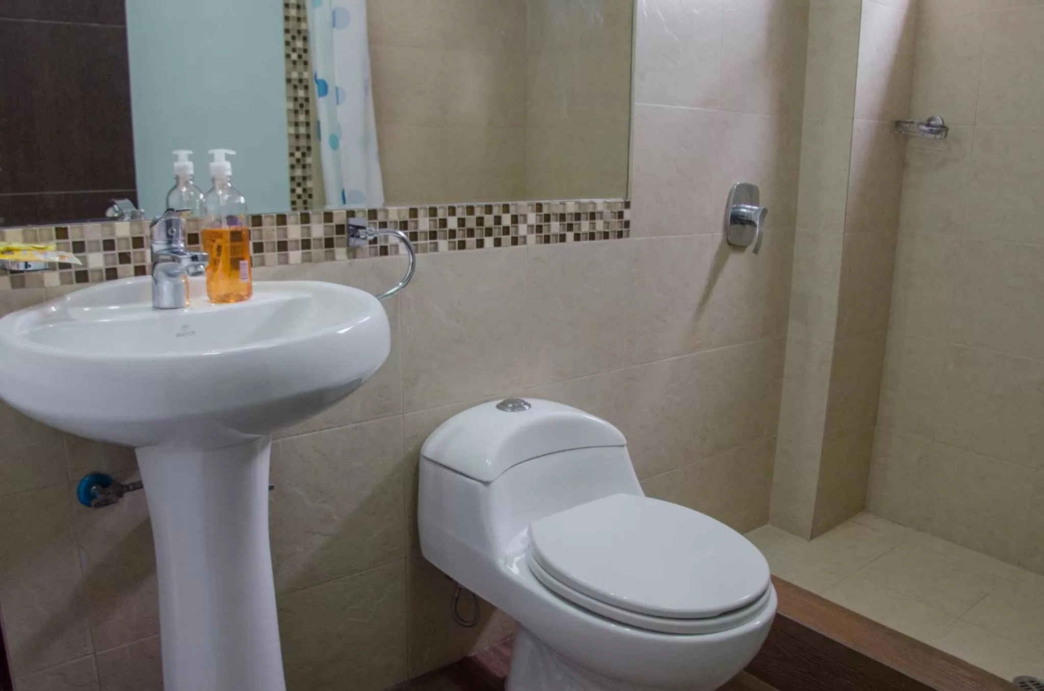 Bathroom in Hotel Shalom