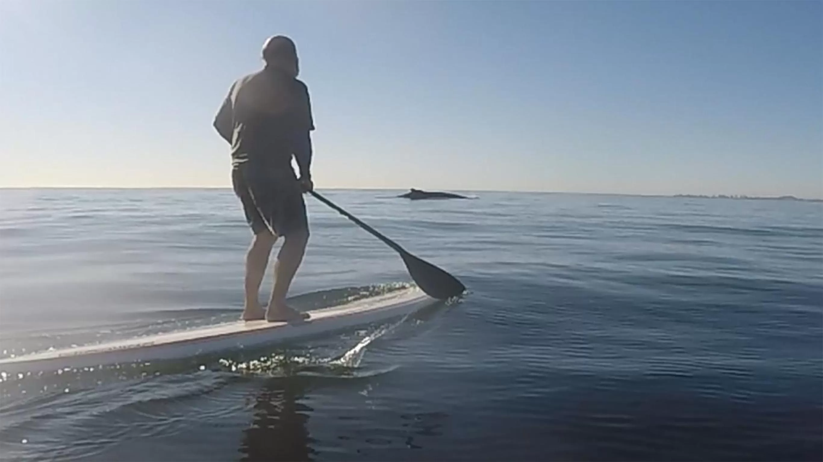 Activities in Albatross North Apartments