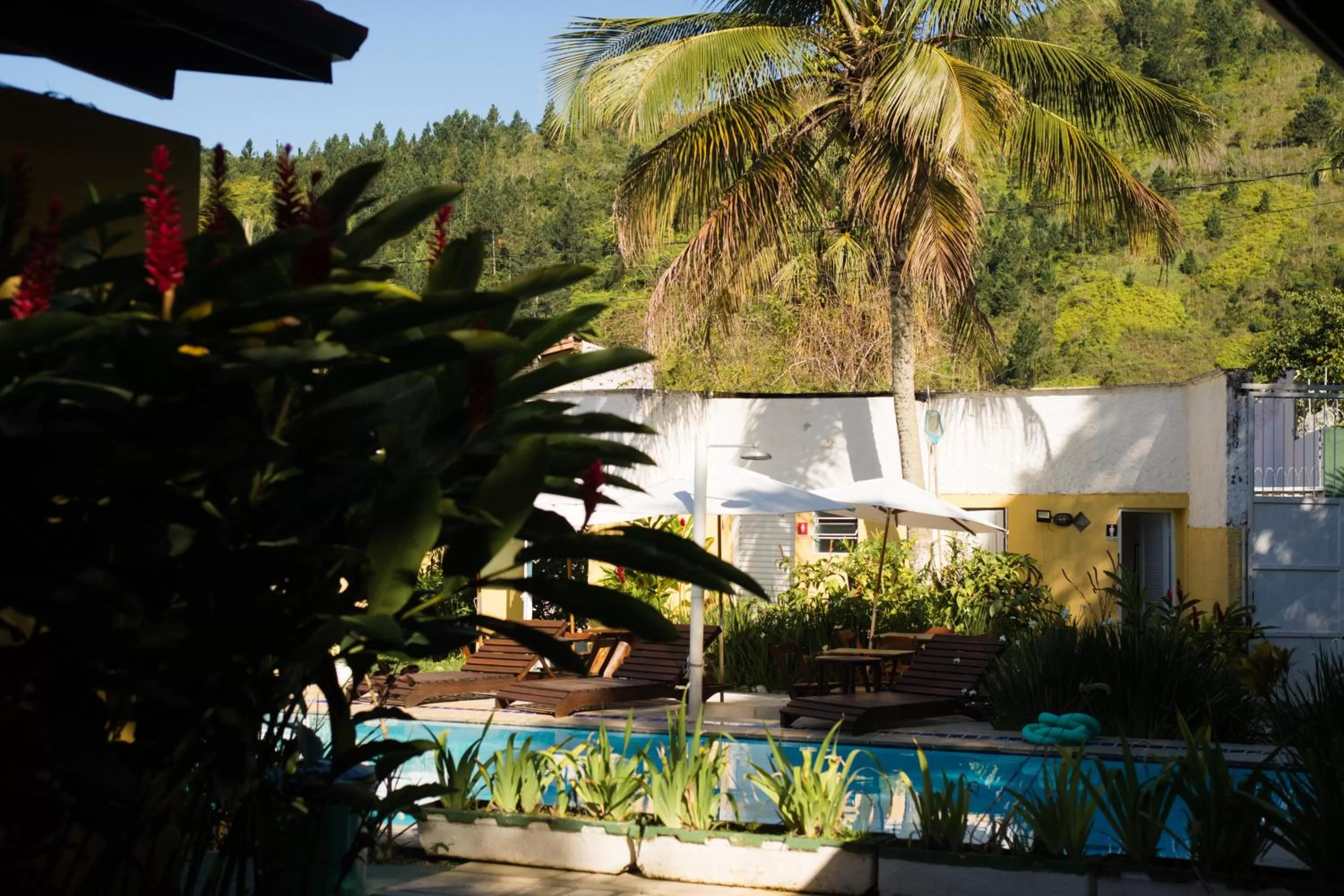 Garden in Pousada Viva Ubatuba