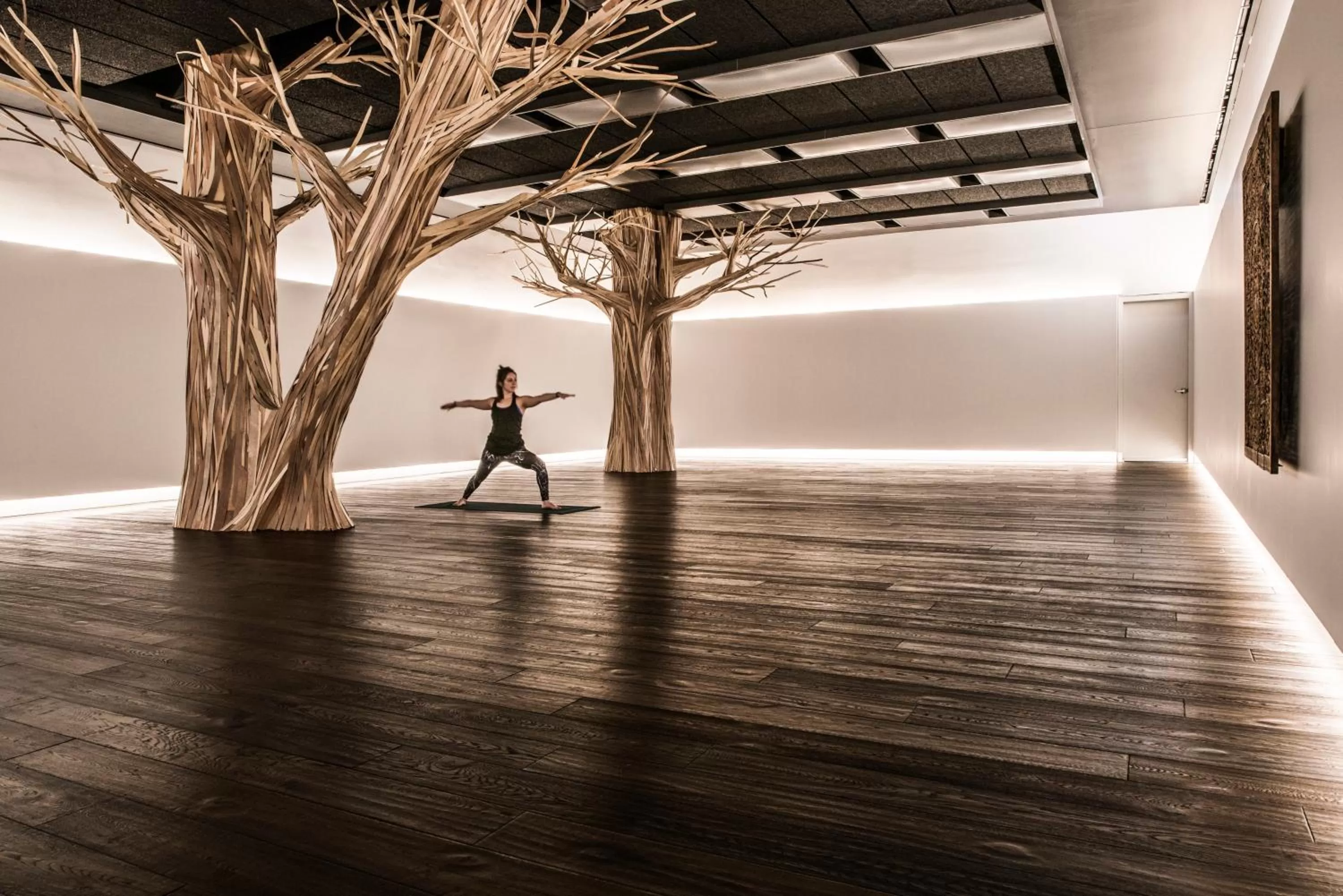 Fitness centre/facilities in The Hotel & Athletic Club at Midtown