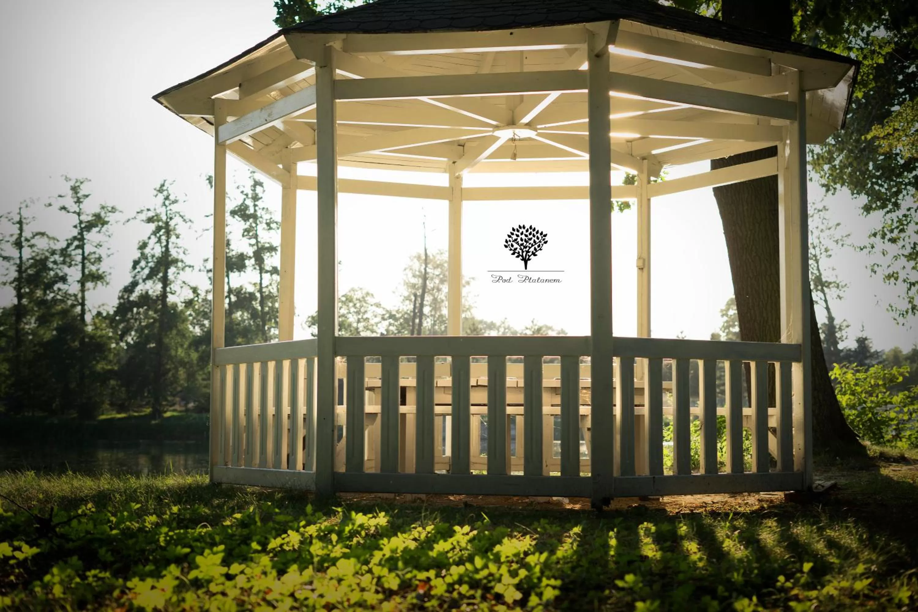 Pod Platanem Gliwice