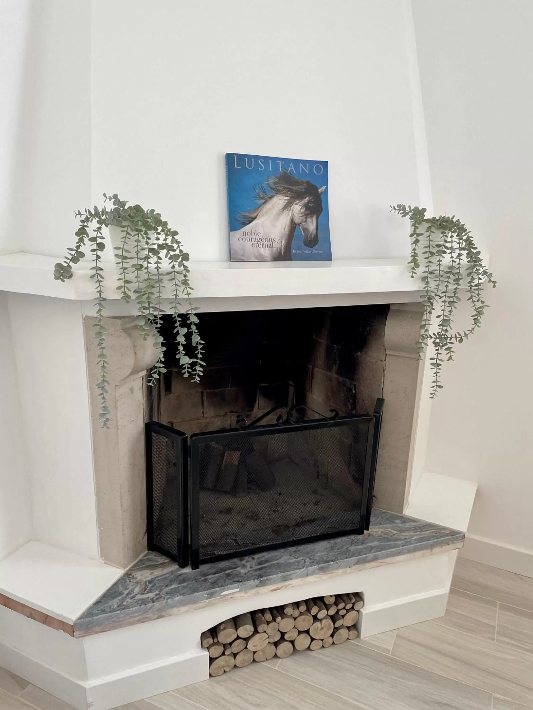 flat iron, TV/Entertainment Center in Galagana Charm House