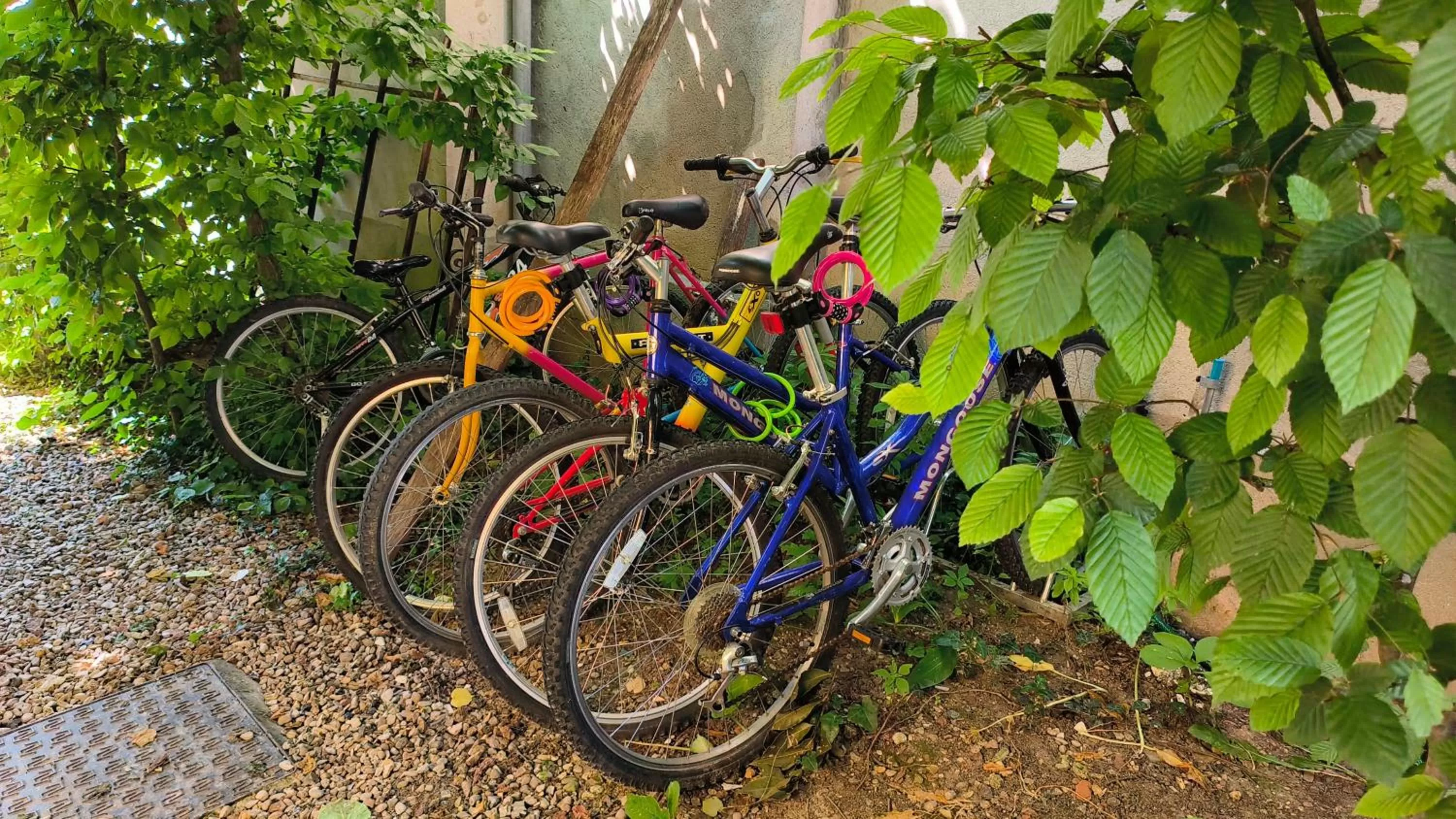 Sports, Other Activities in Le Grand Barrois