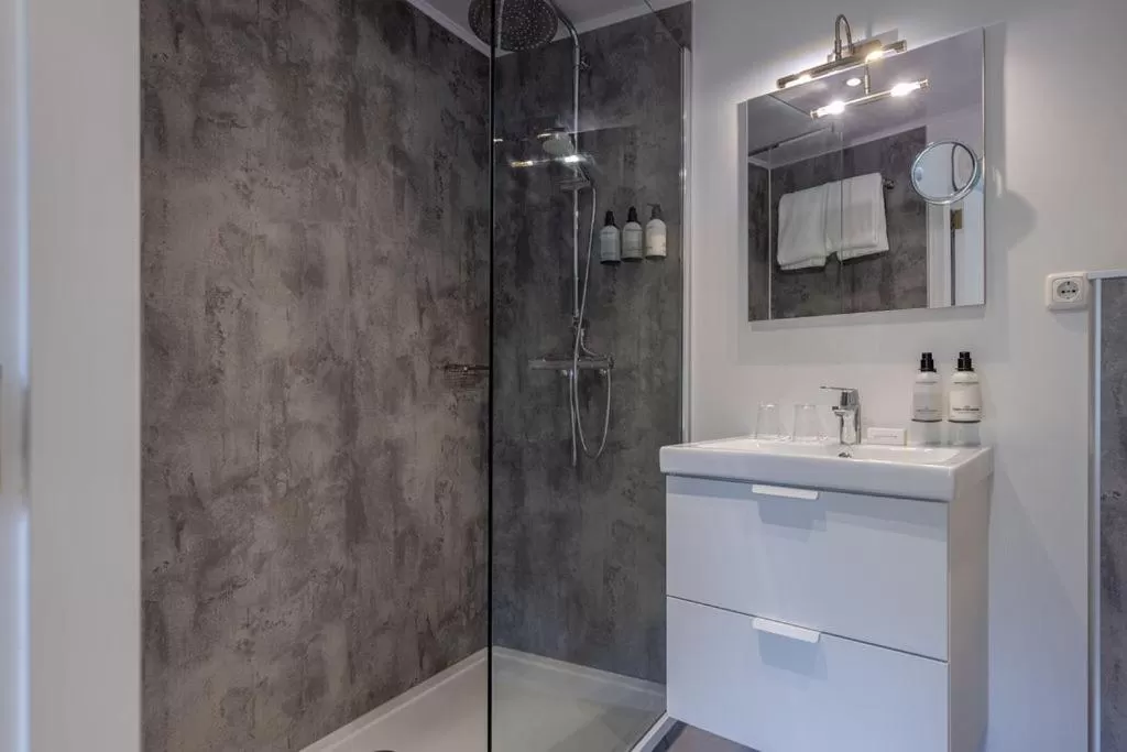 Bathroom in Boutique Hotel Slenaker Vallei - Buitengewoongenieten