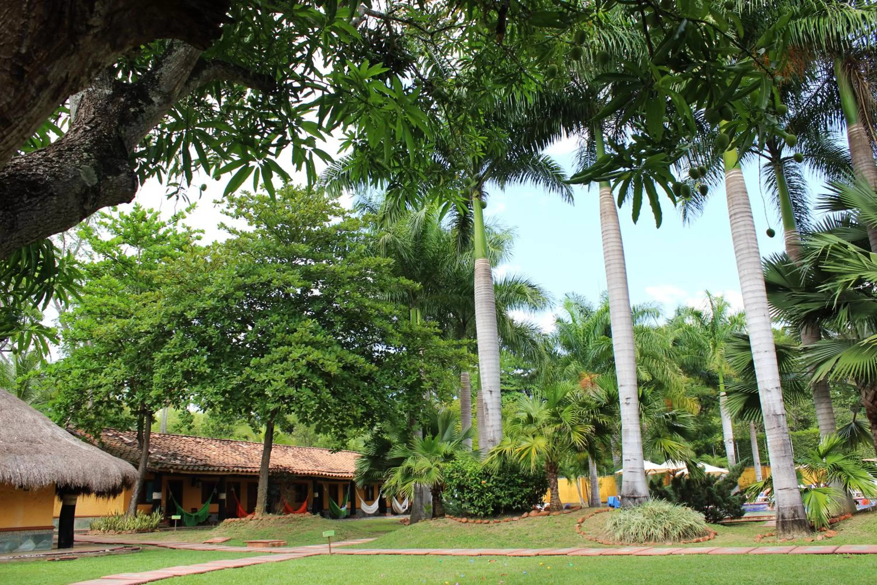Other, Garden in Hotel Portón del Sol