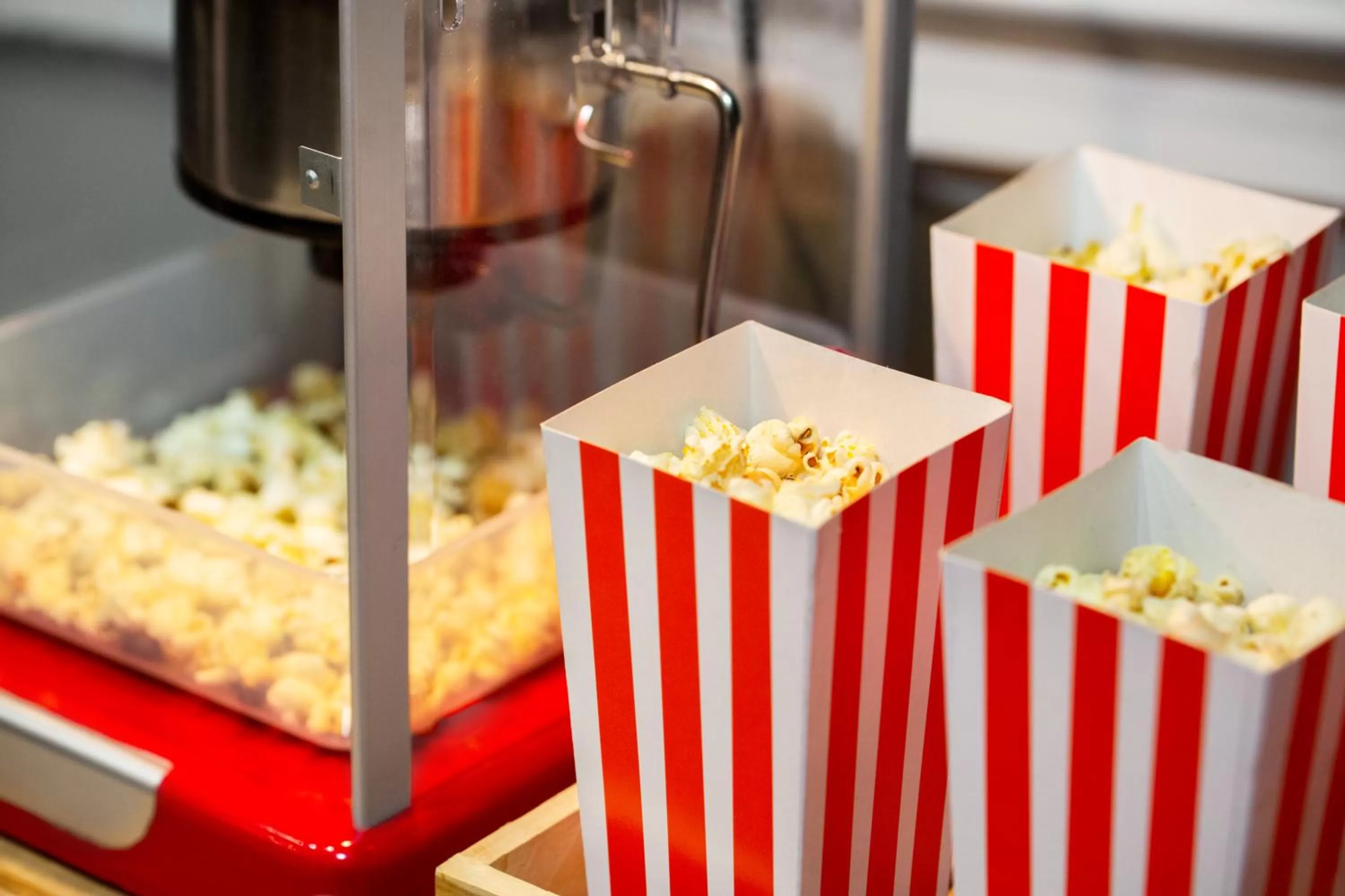 Activities in Mercure Château de Fontainebleau