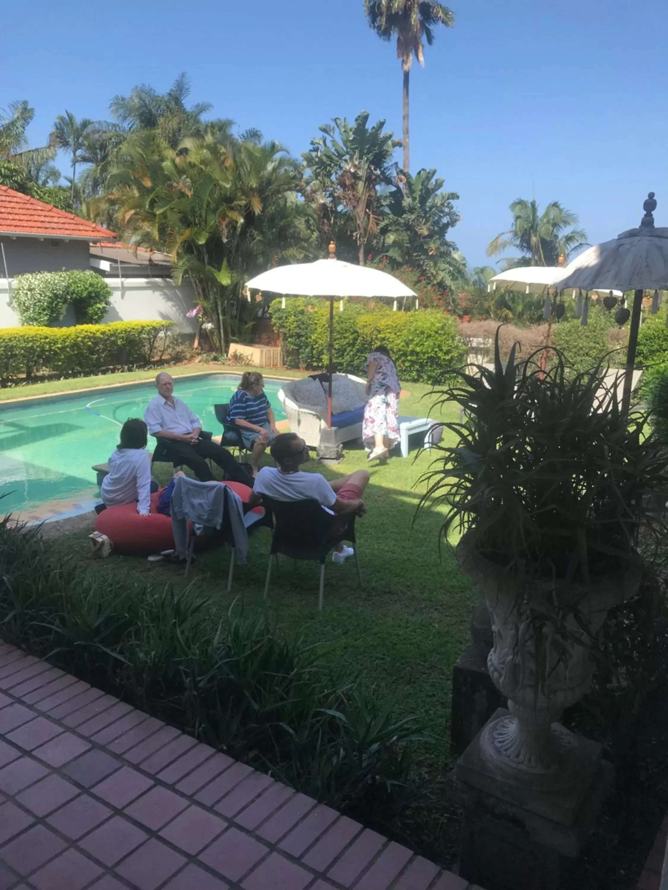 Swimming pool in Holland House B&B