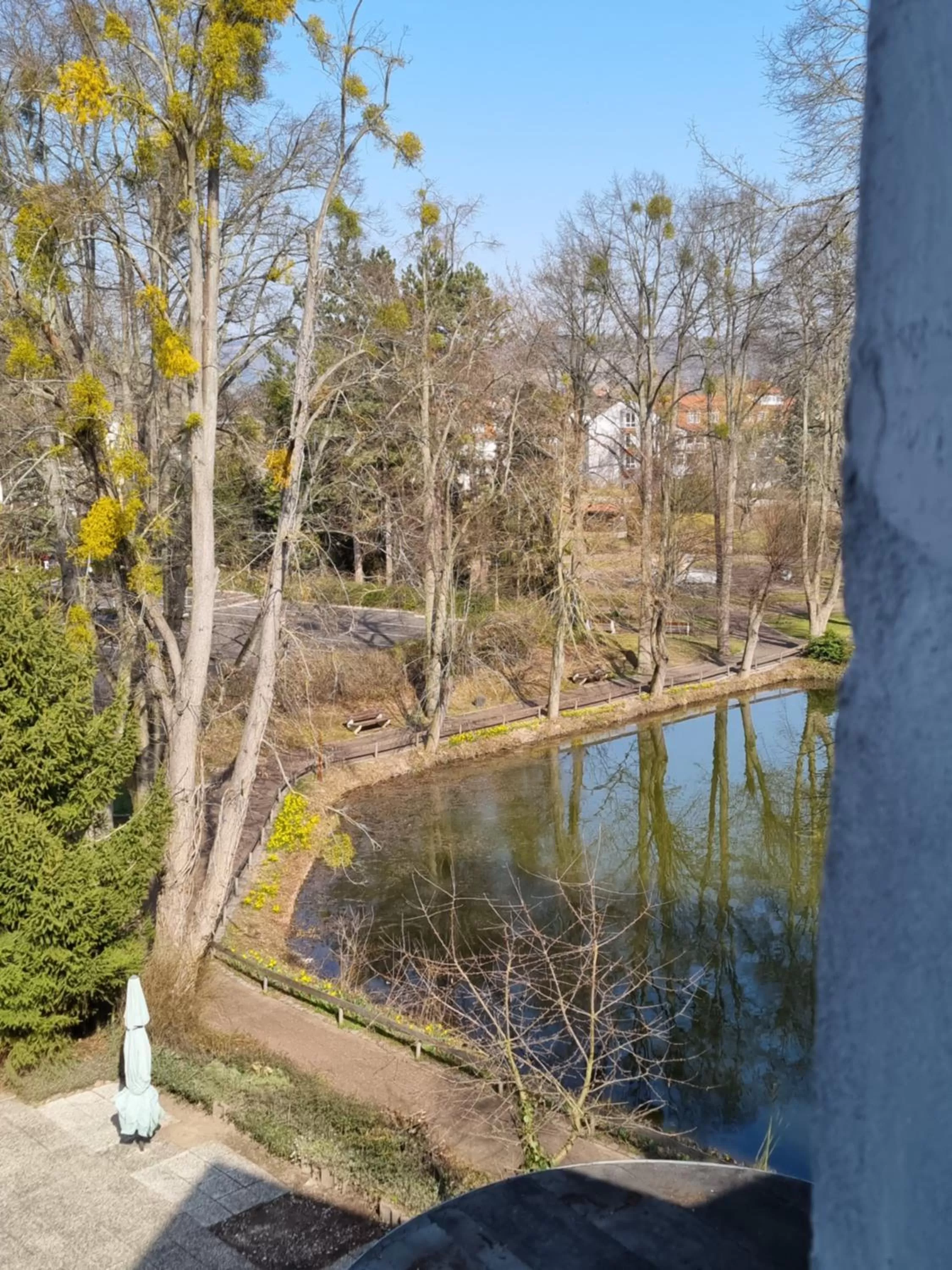 Garden view, Swimming Pool in Parkhotel Am Schwanenteich