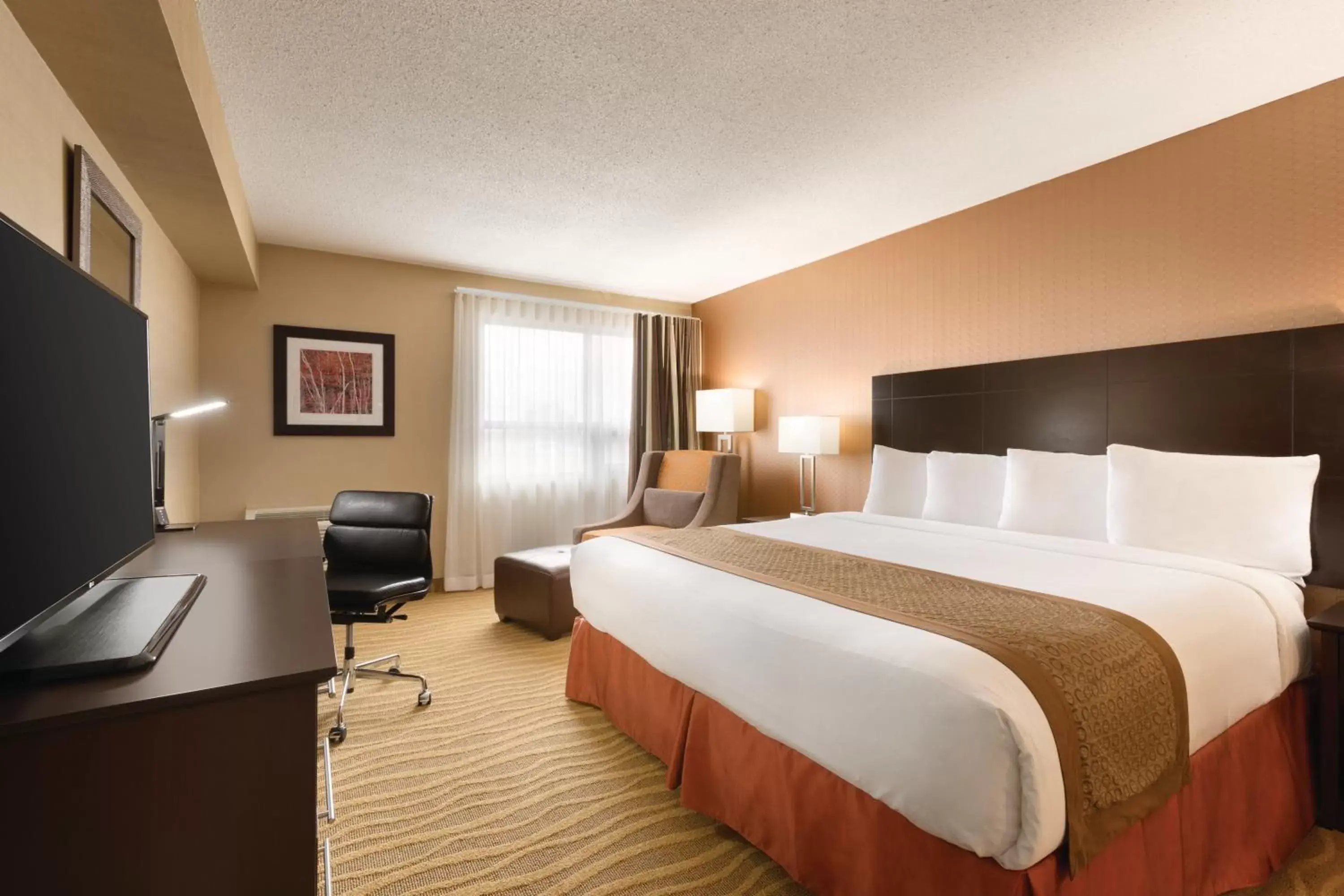 King Room in Park Inn by Radisson Toronto-Markham King Room in Park Inn by Radisson Toronto-Markham