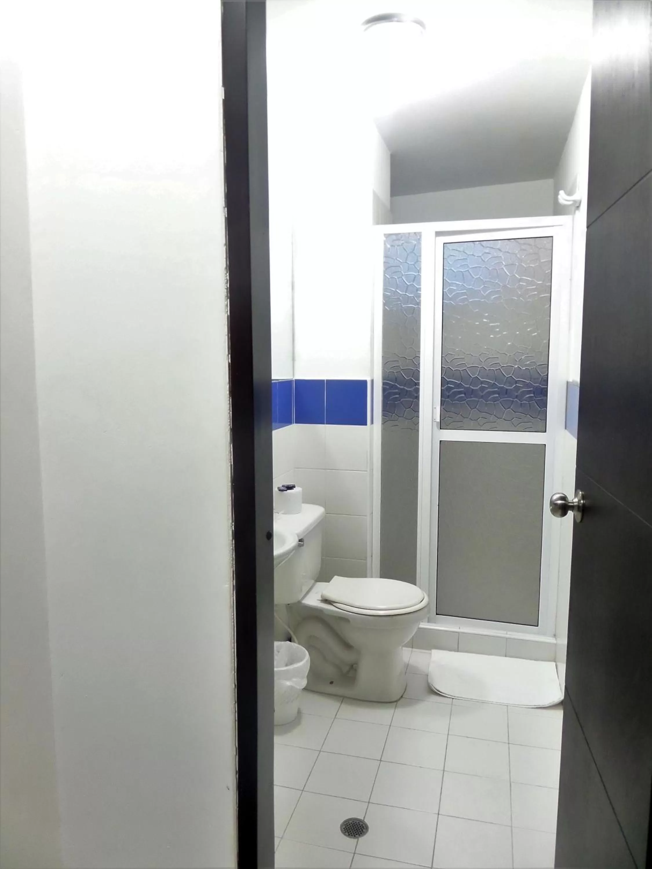 Toilet in Apartasuites San Marcos