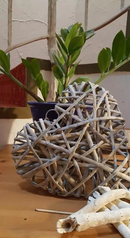 Öko-Landhotel Basler Hof