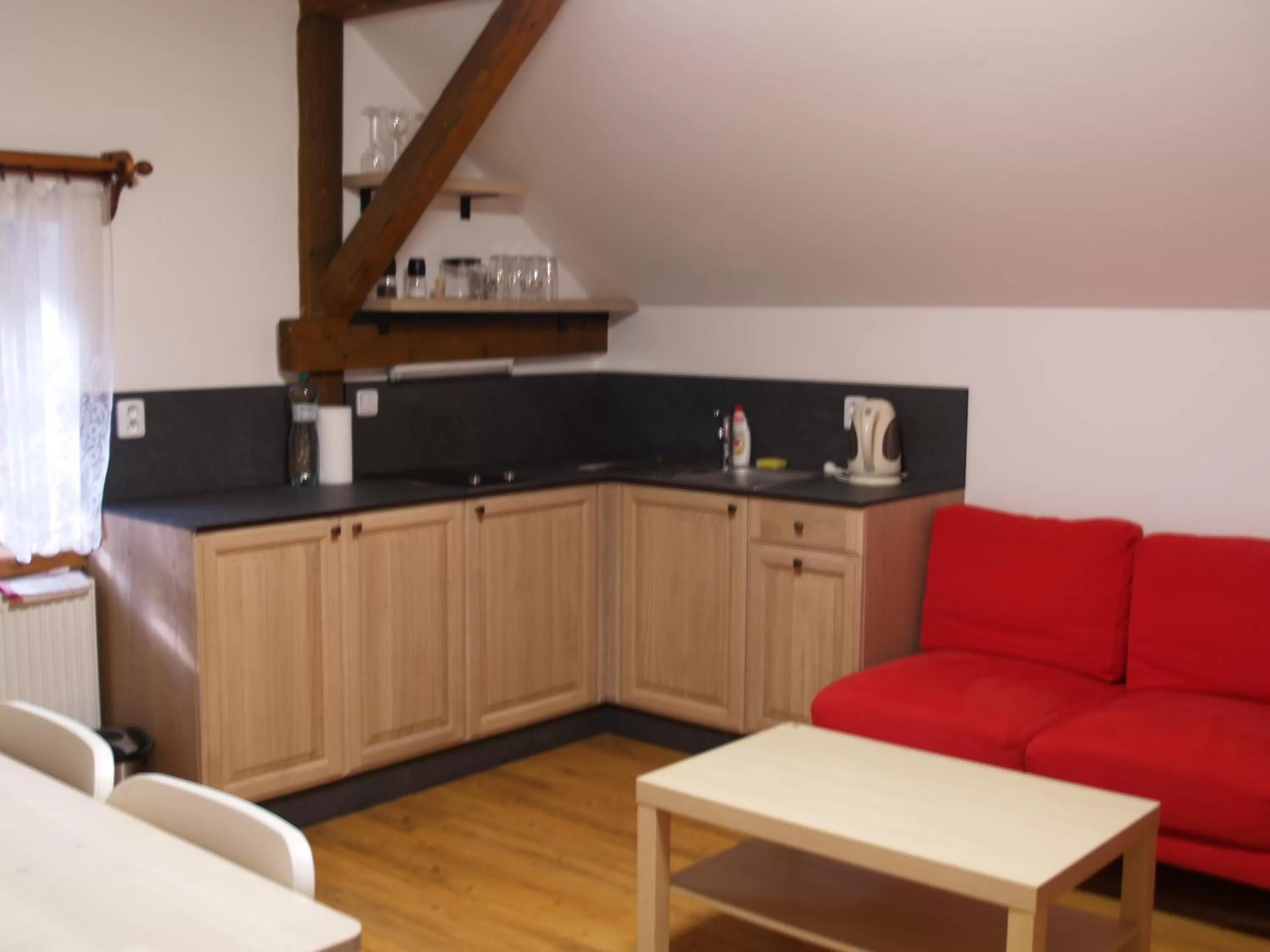 Coffee/tea facilities, Kitchen/Kitchenette in X-Park Františkov