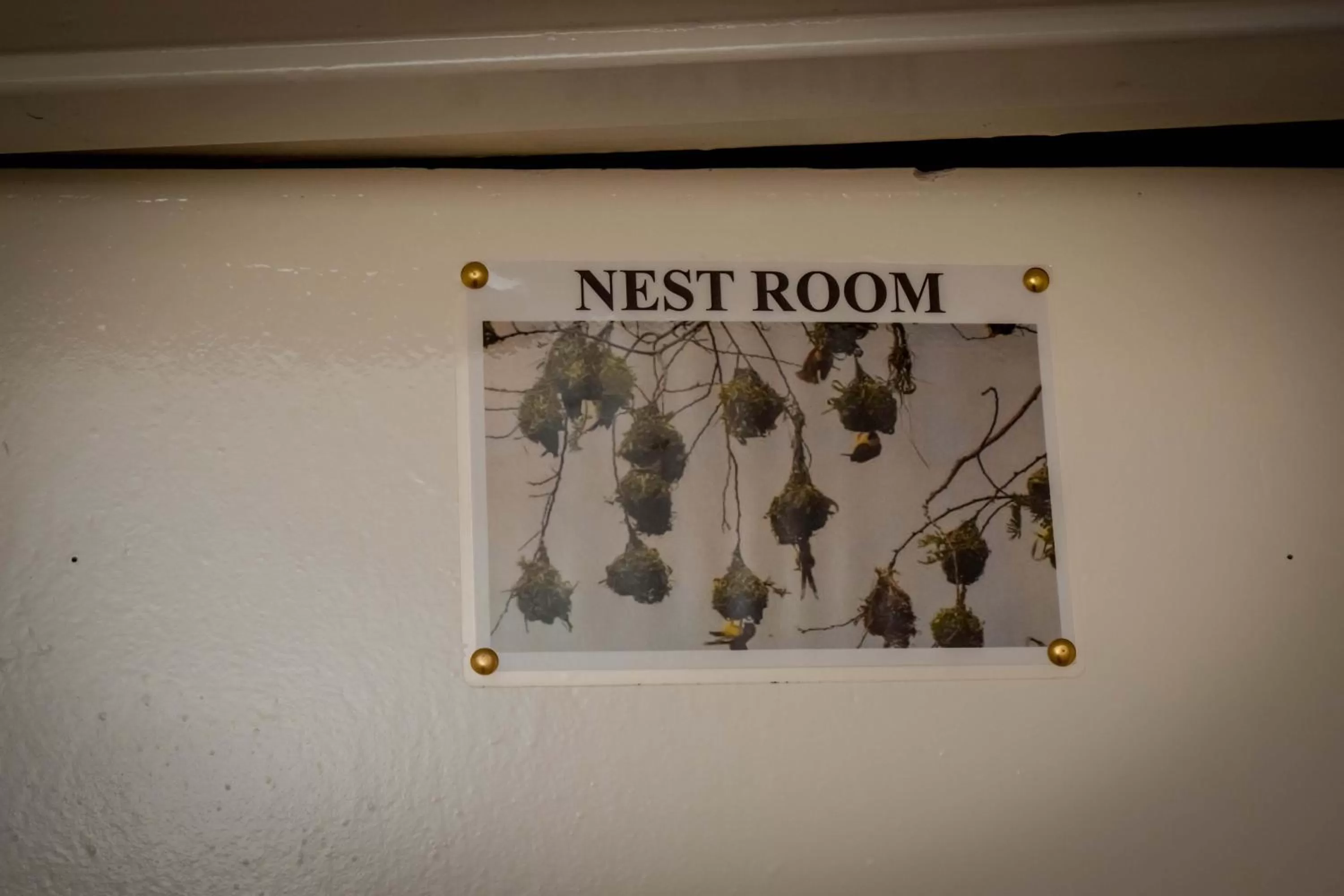 Text overlay in INZOZI AFRICA HOUSE B&B-Gishushu