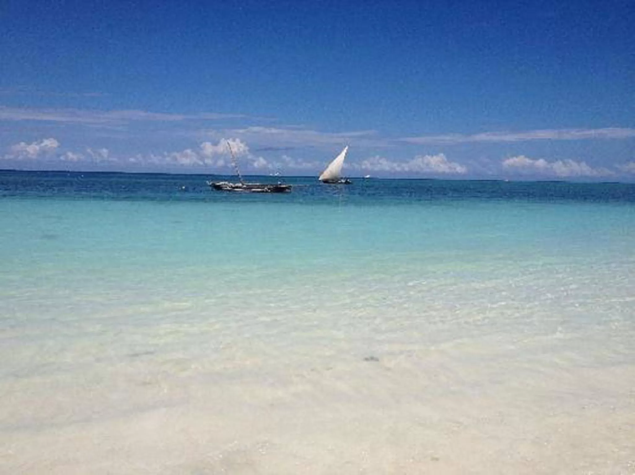 Summer, Beach in Ebony & Ivory Beach Bungalows