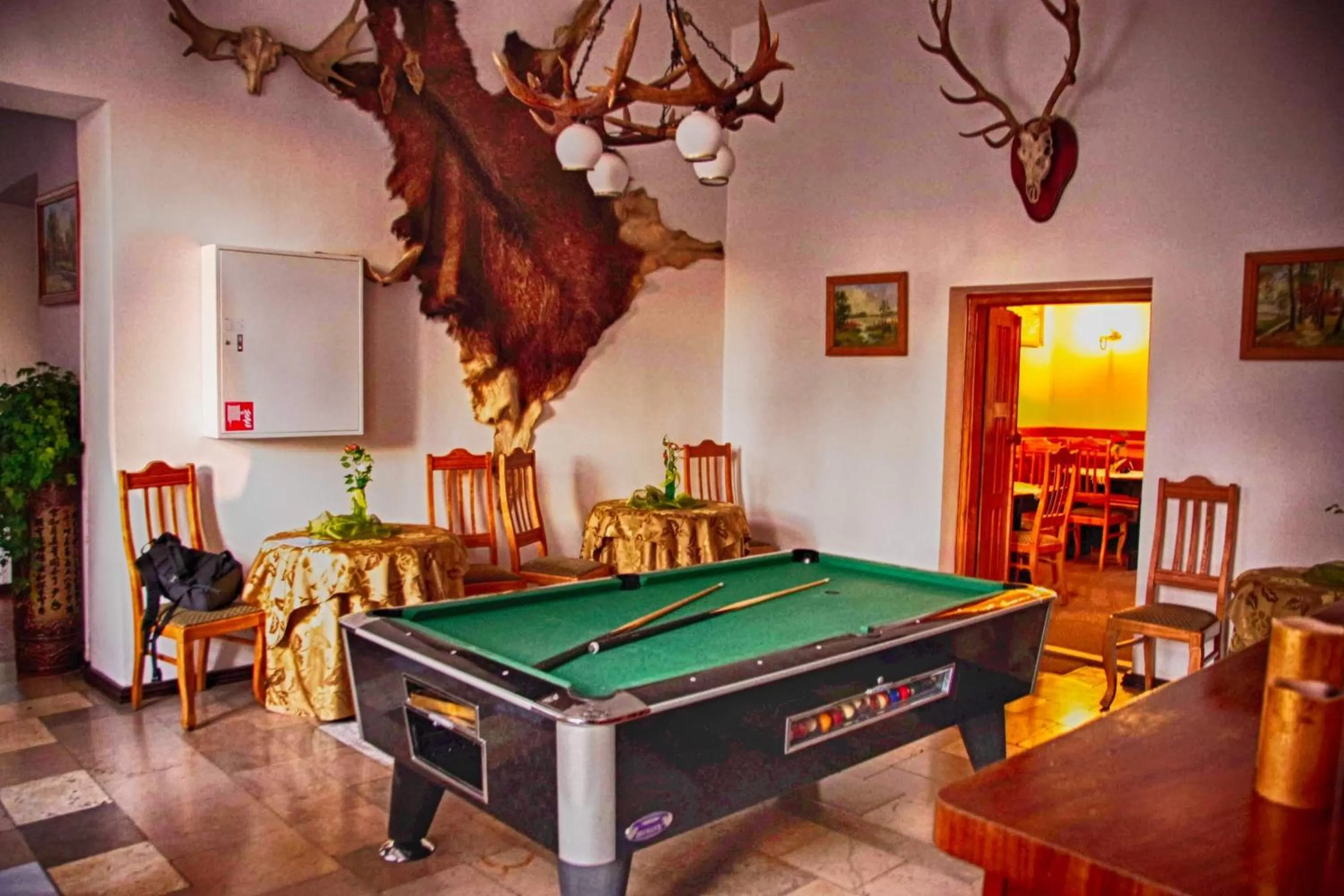 Billiards in Hotel Zamek Karnity