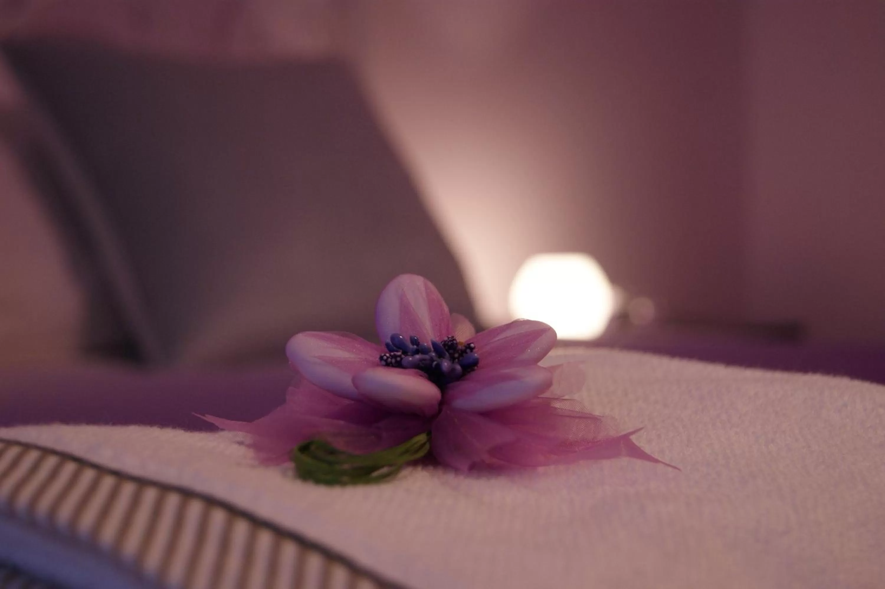 Bed in B&B Ponte Rio