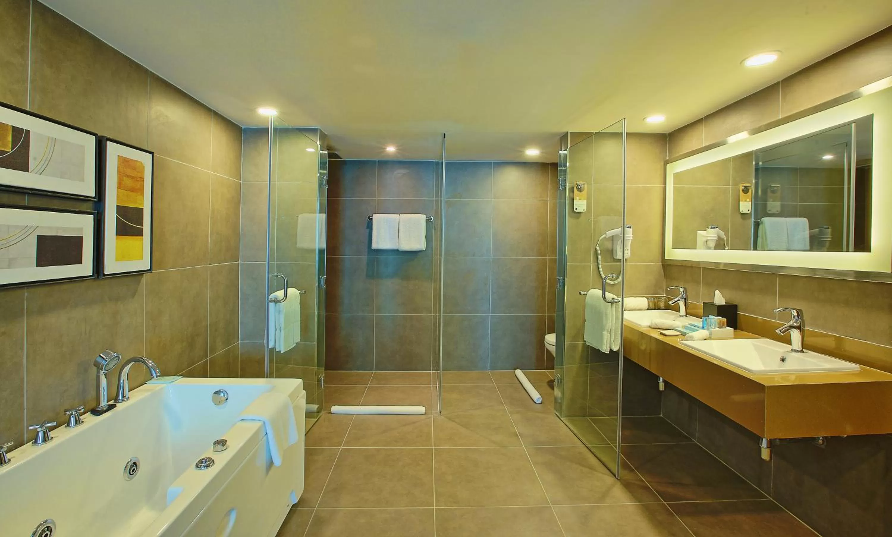 Bathroom in Novotel Ahmedabad