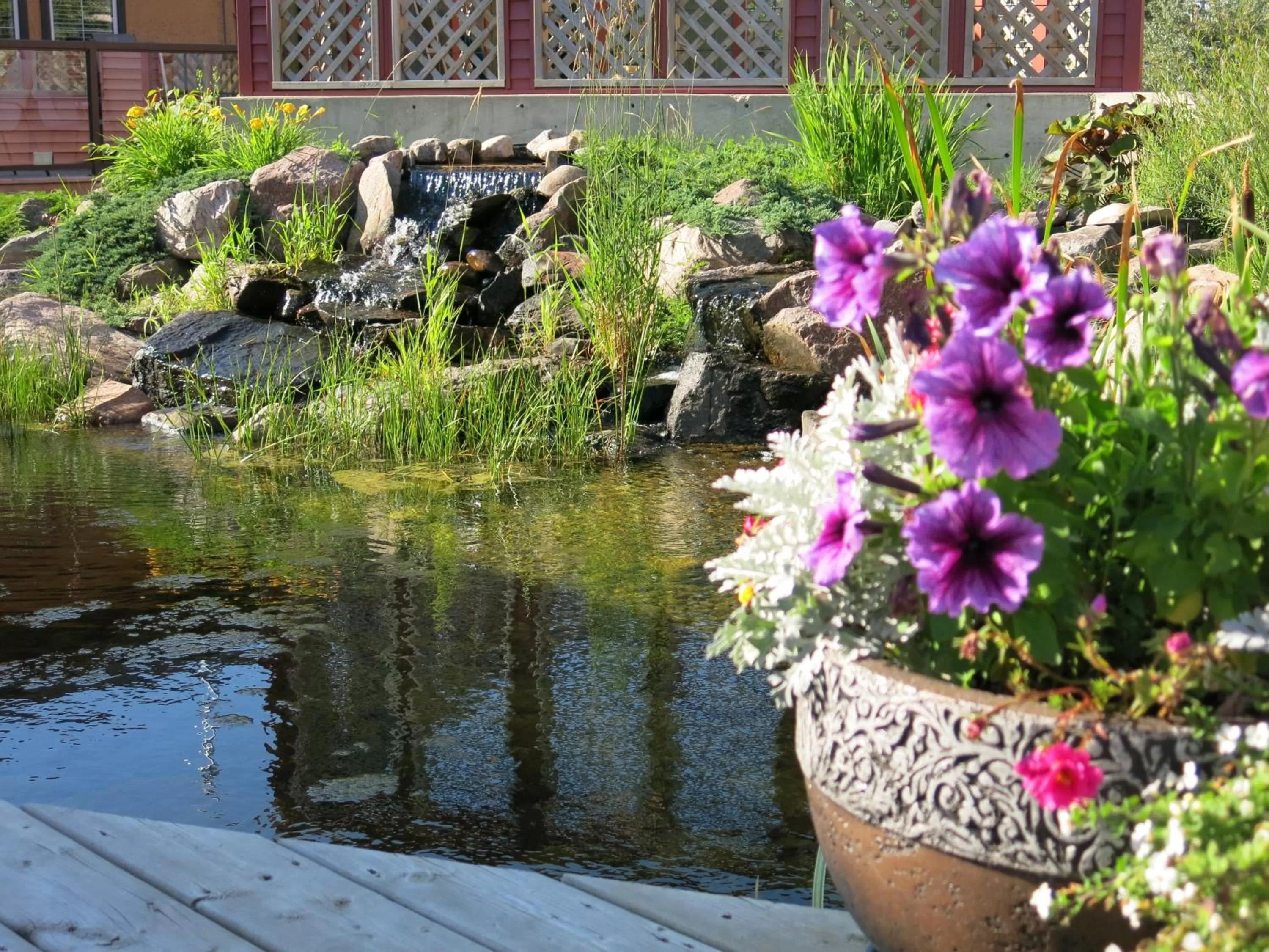 Natural landscape in Village Creek Country Inn