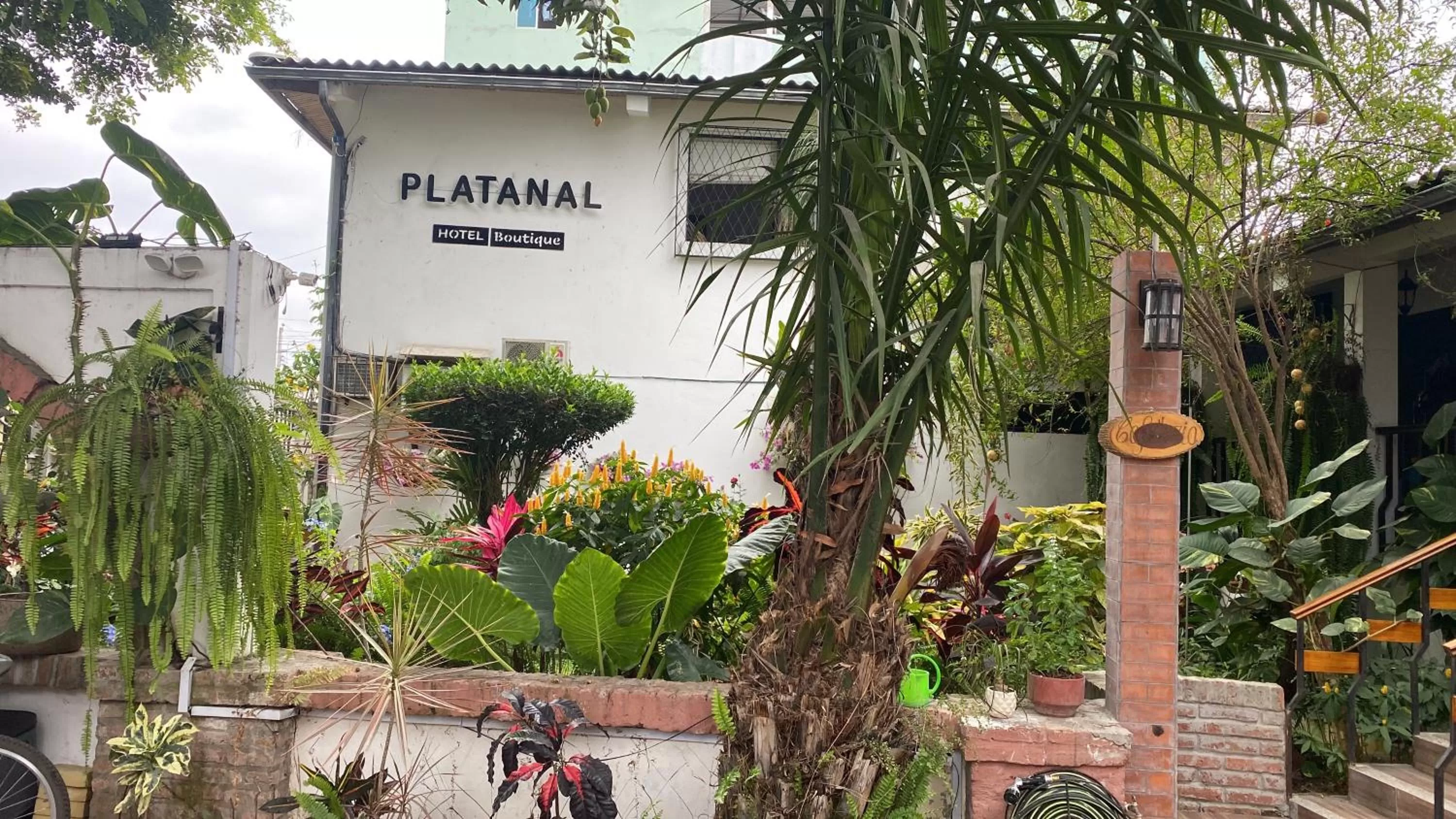 Garden view, Property Building in Hotel Boutique Platanal