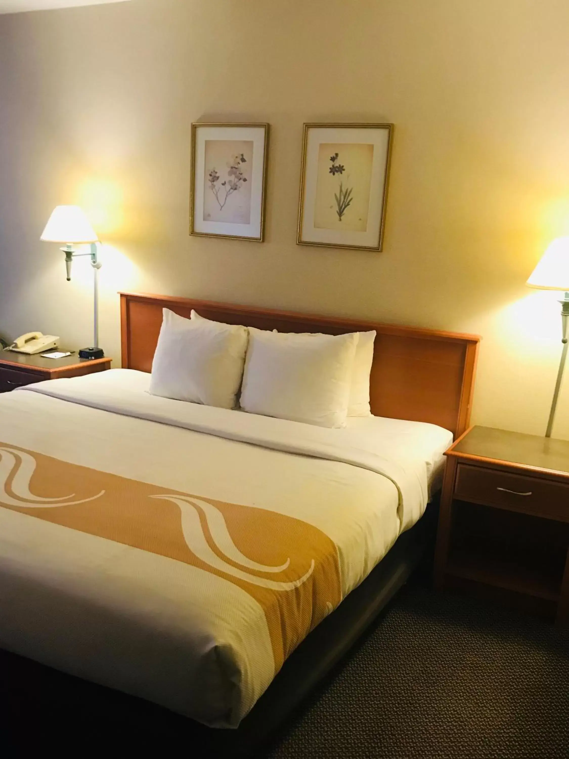 King Room - Non-Smoking in Quality Inn King Room - Non-Smoking in Quality Inn