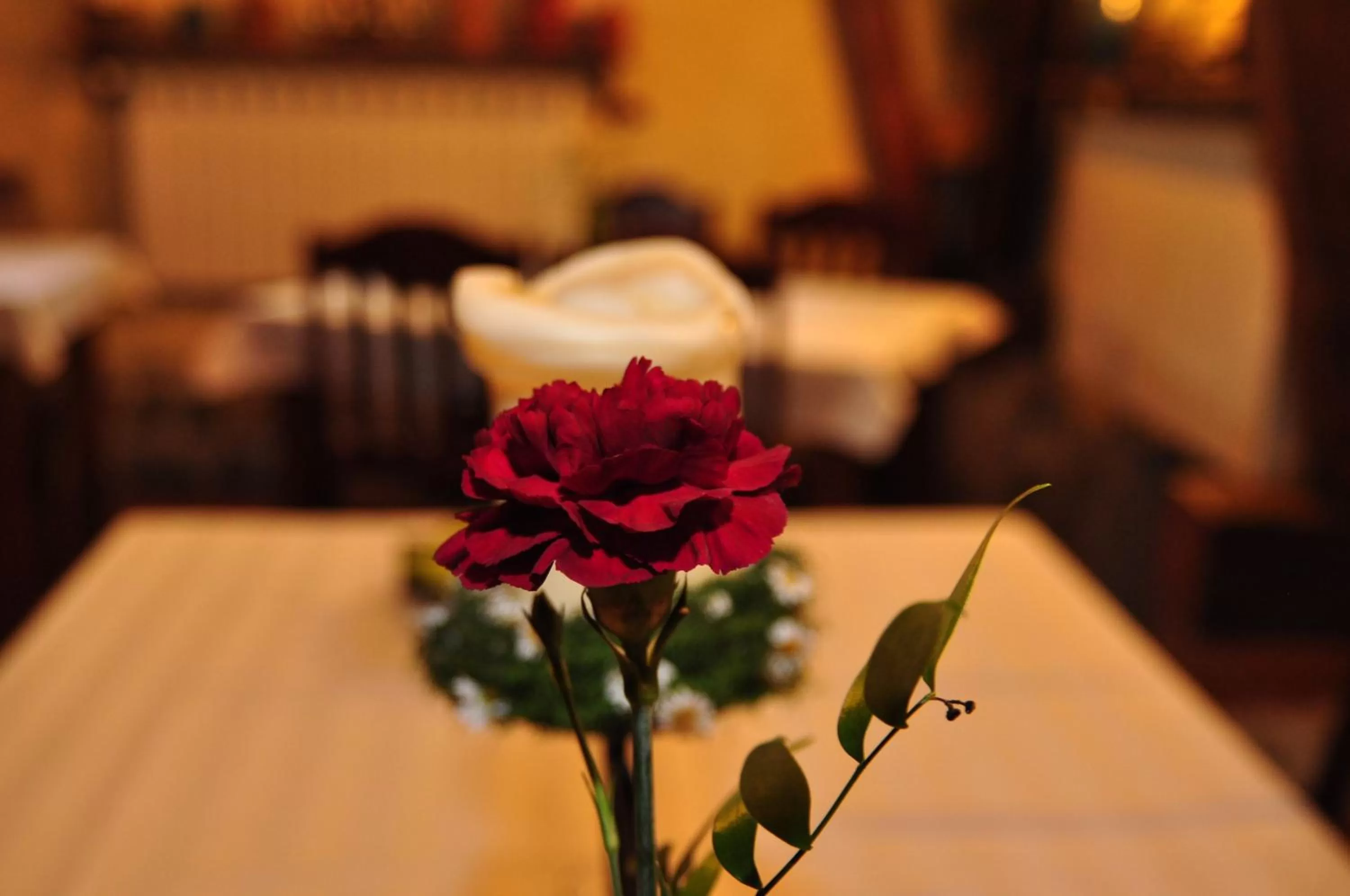 Stary Spichrz Kawiarnia & Noclegi