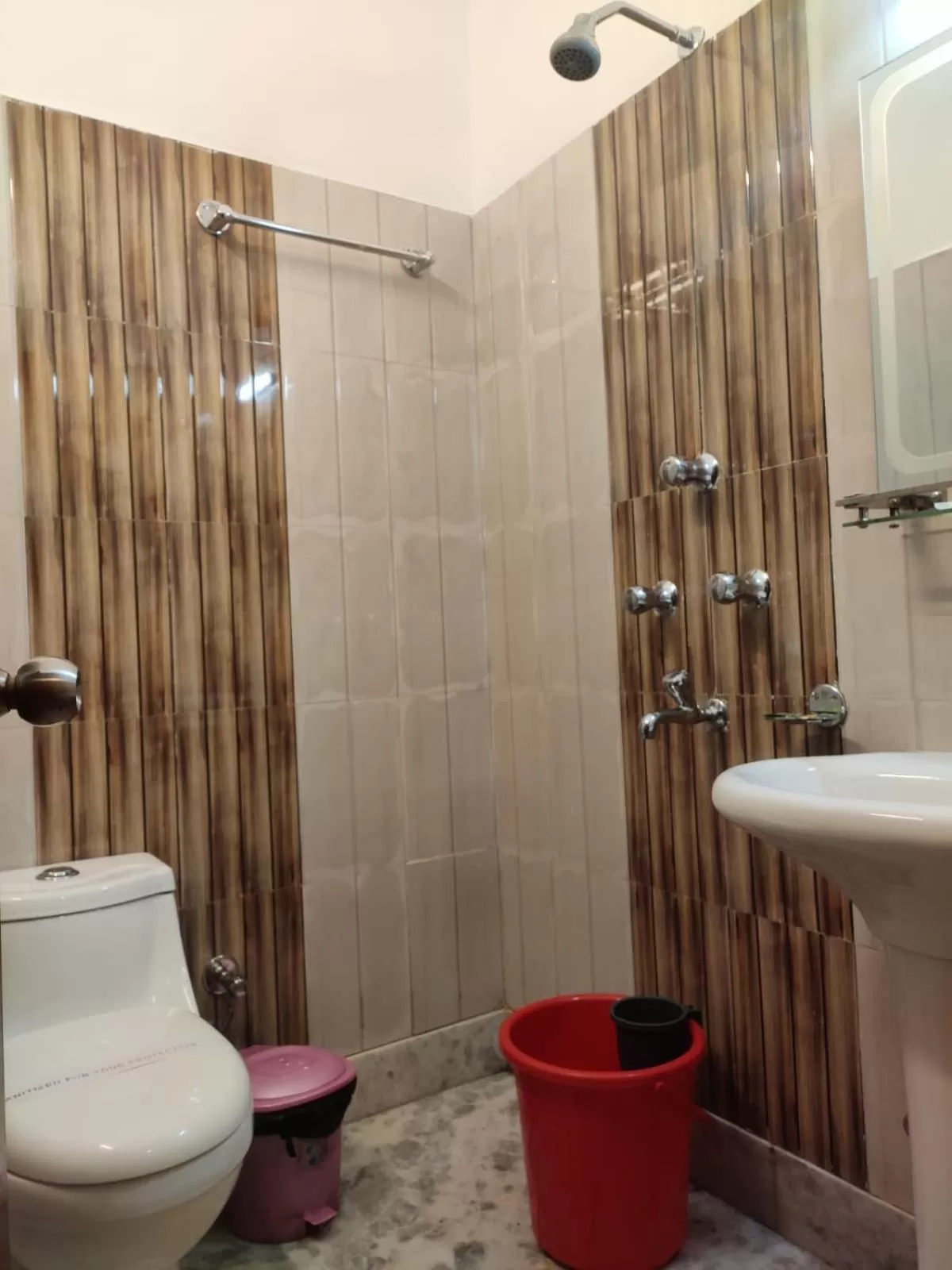 Toilet in Hotel The Narayani Continental