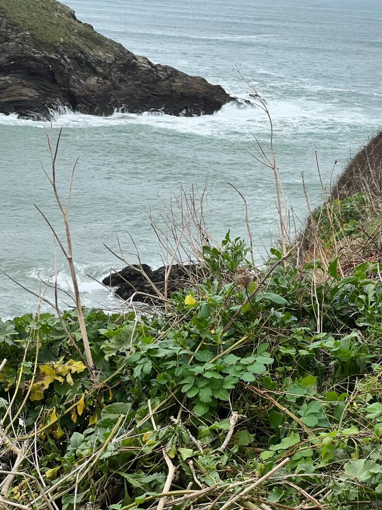 Other in The Chapel Guest House