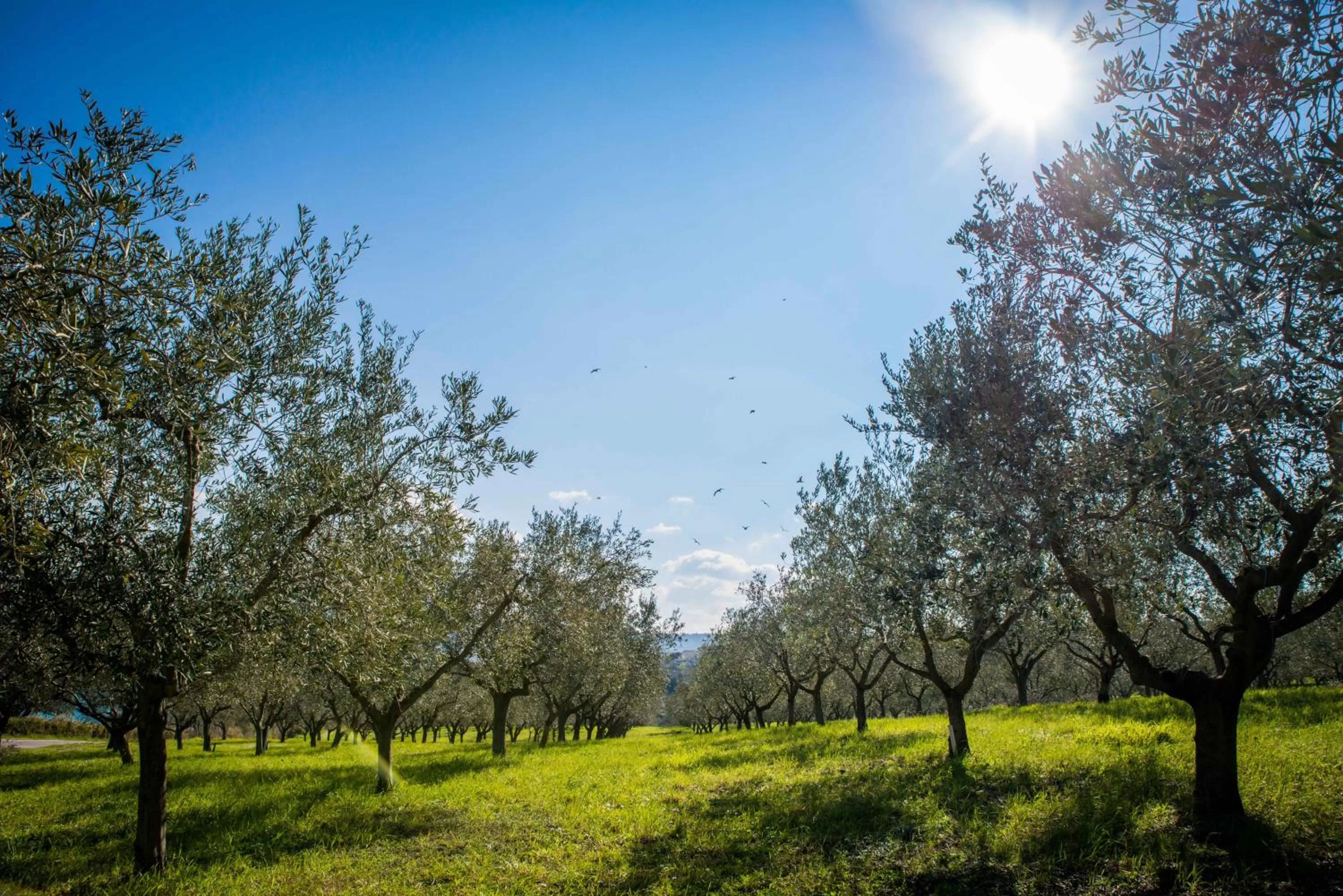 Day in Belvedere Resort Hotels