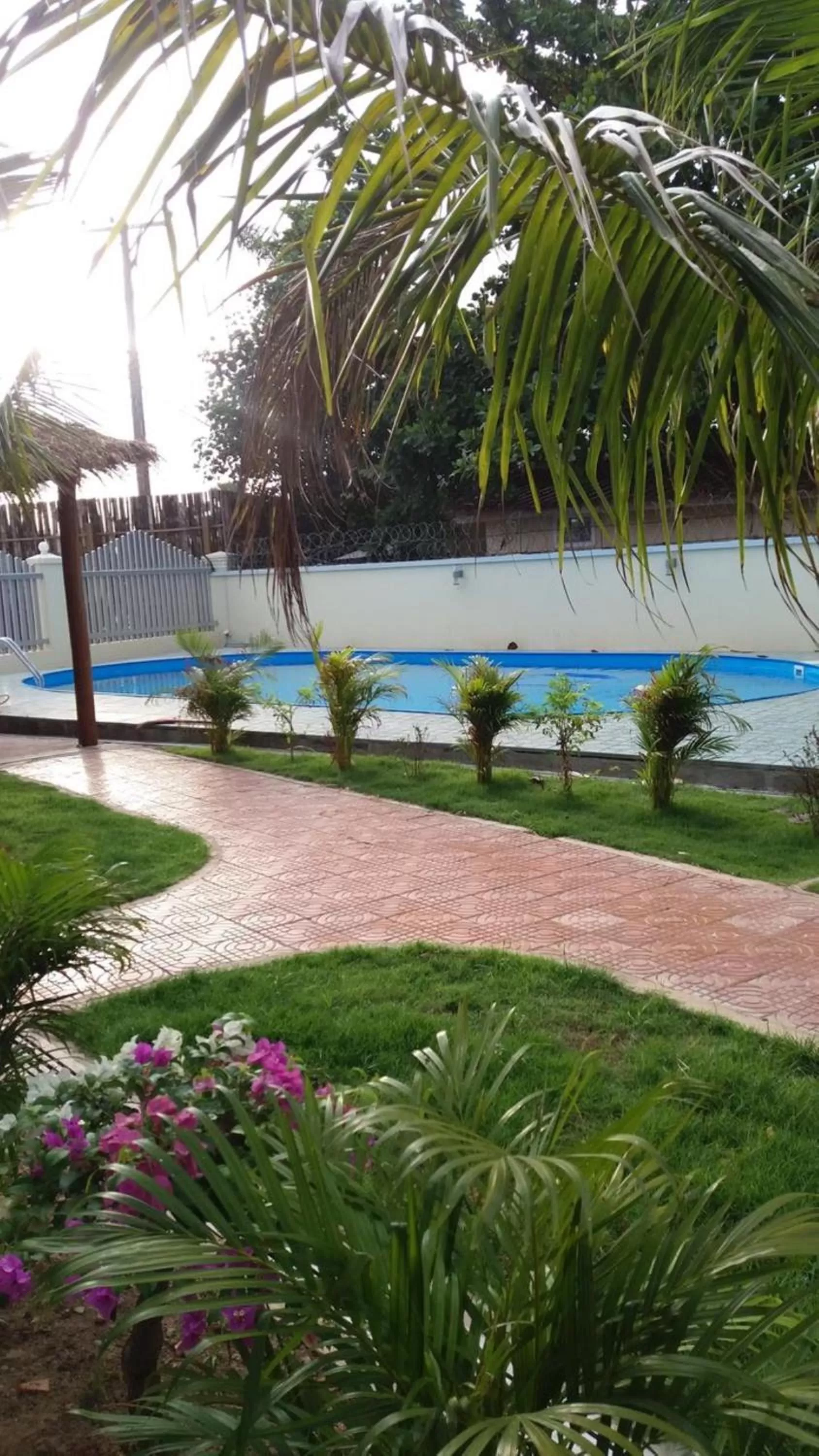 Swimming pool, Garden in Spayhiti