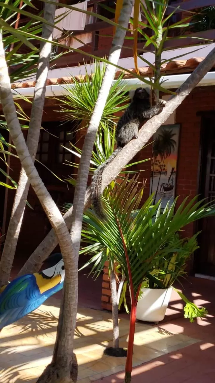 Pousada Costa Tropical