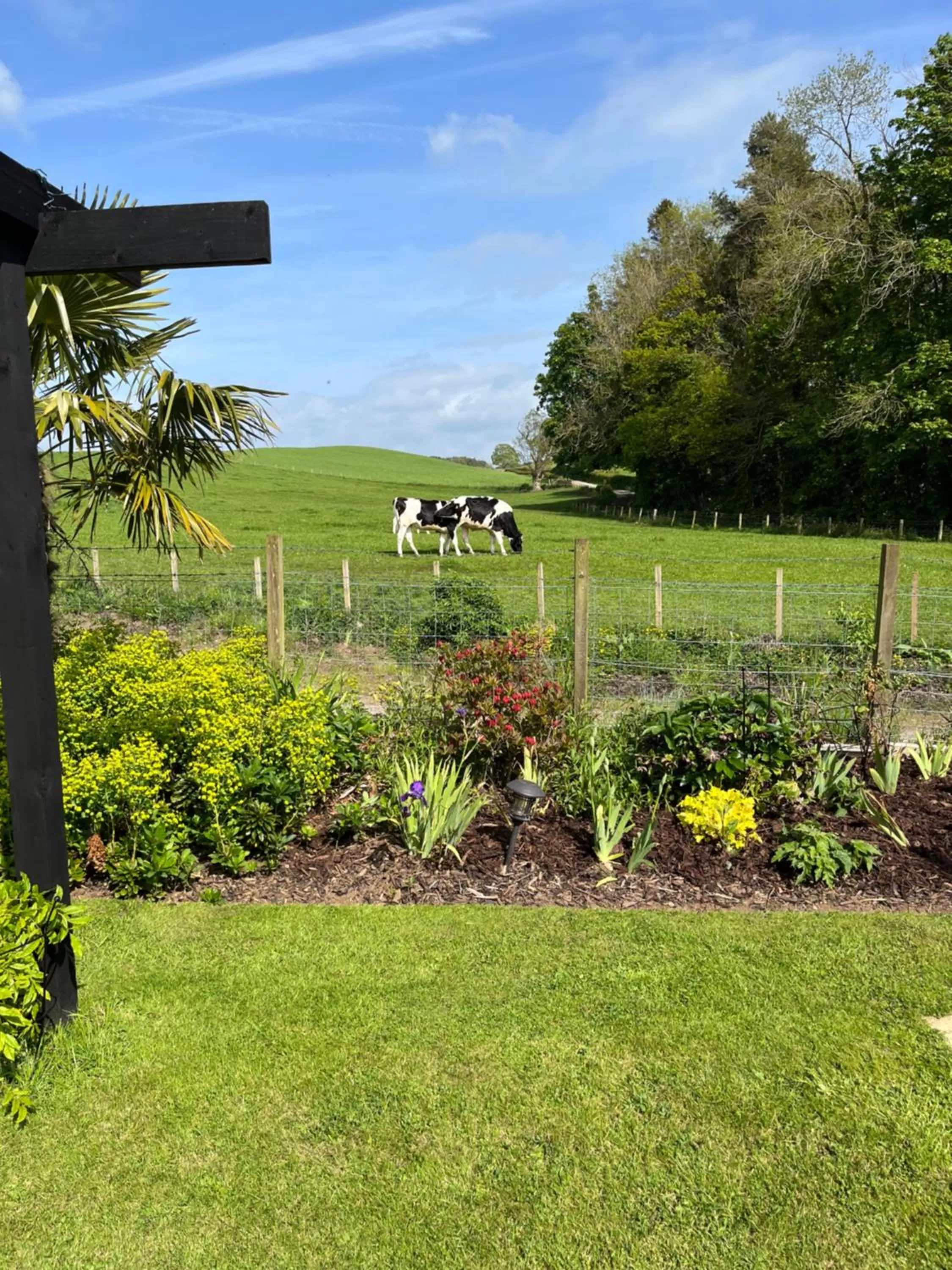 Natural landscape in Retreat at The Knowe Auchincruive Estate