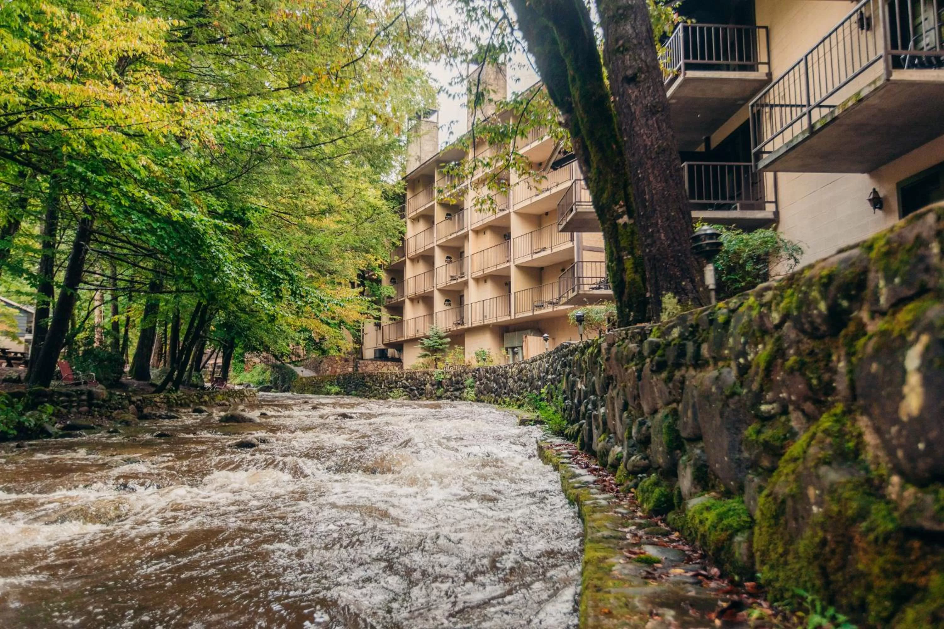 Patio in Brookside Lodge