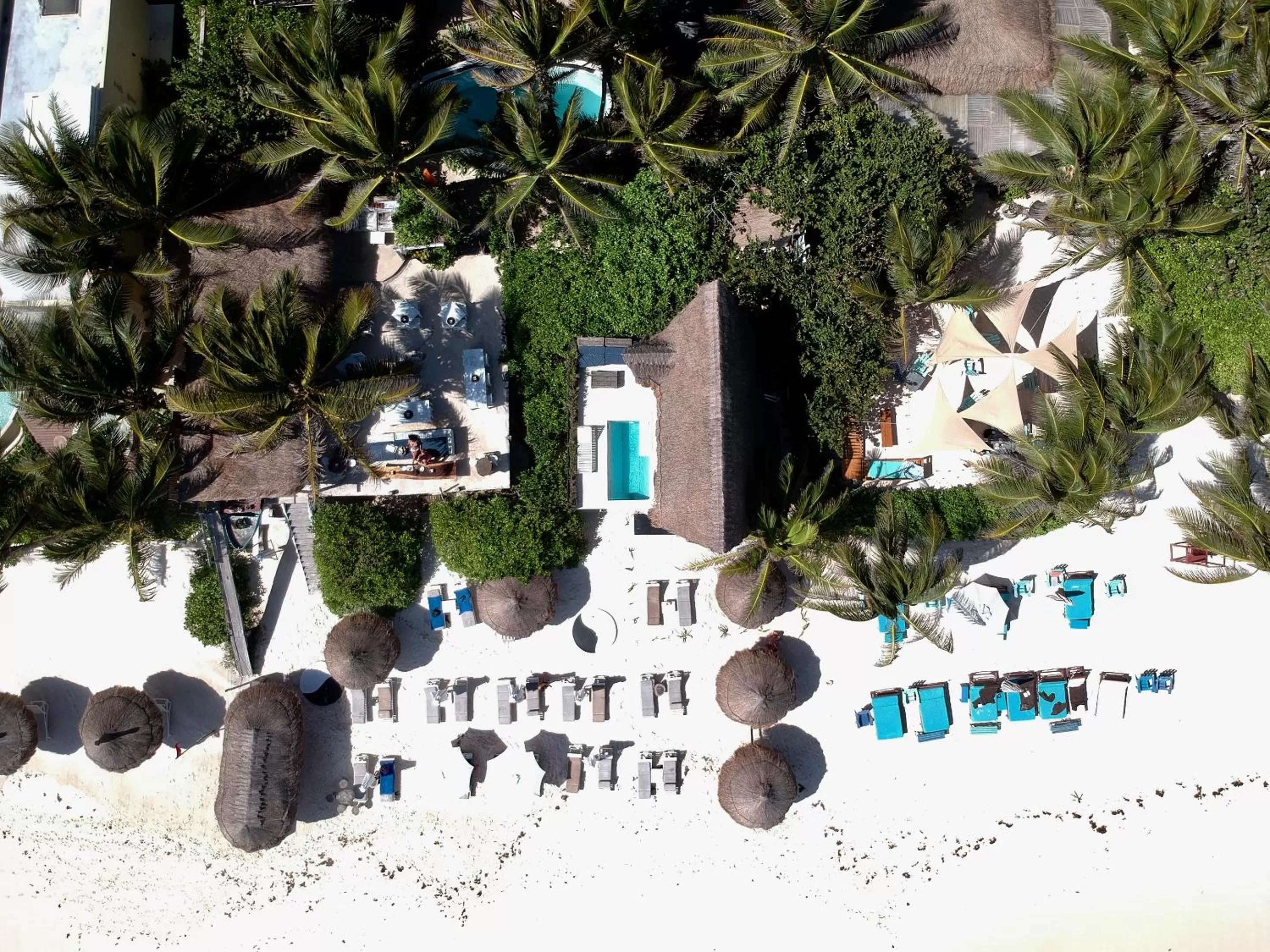 Bird's eye view, Bird's-eye View in Hotel Zulum